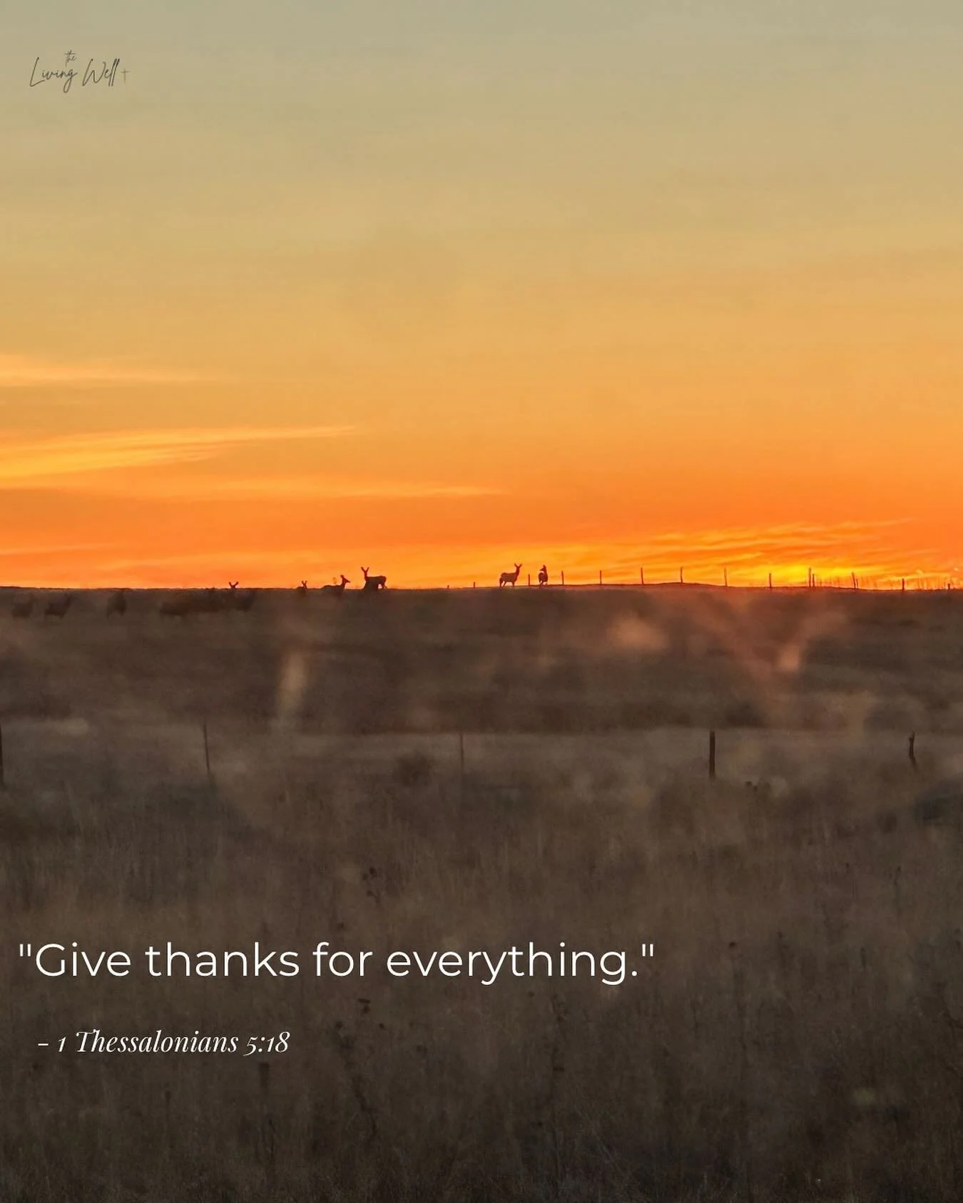 Today feels like a good day to breathe deep and remember the small mercies.
&ldquo;Give thanks for everything.&rdquo;
1 Thessalonians 5:18
#TheLivingWellFaith