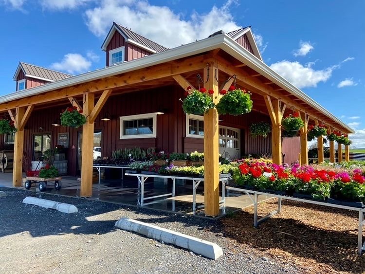 Exterior of Phillips Farm Market, a red bard construction with hanging flower baskets and plants for sale outside