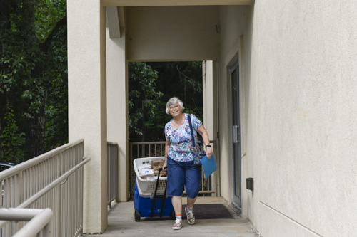 Summer Lunch Program.png