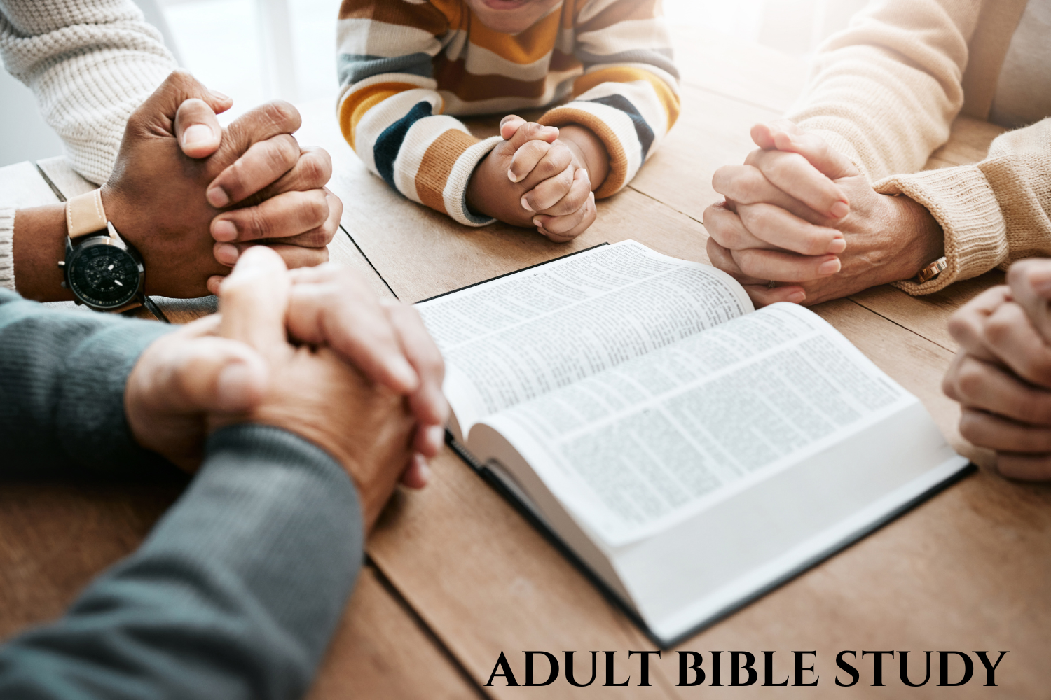 Adult Bible Study
