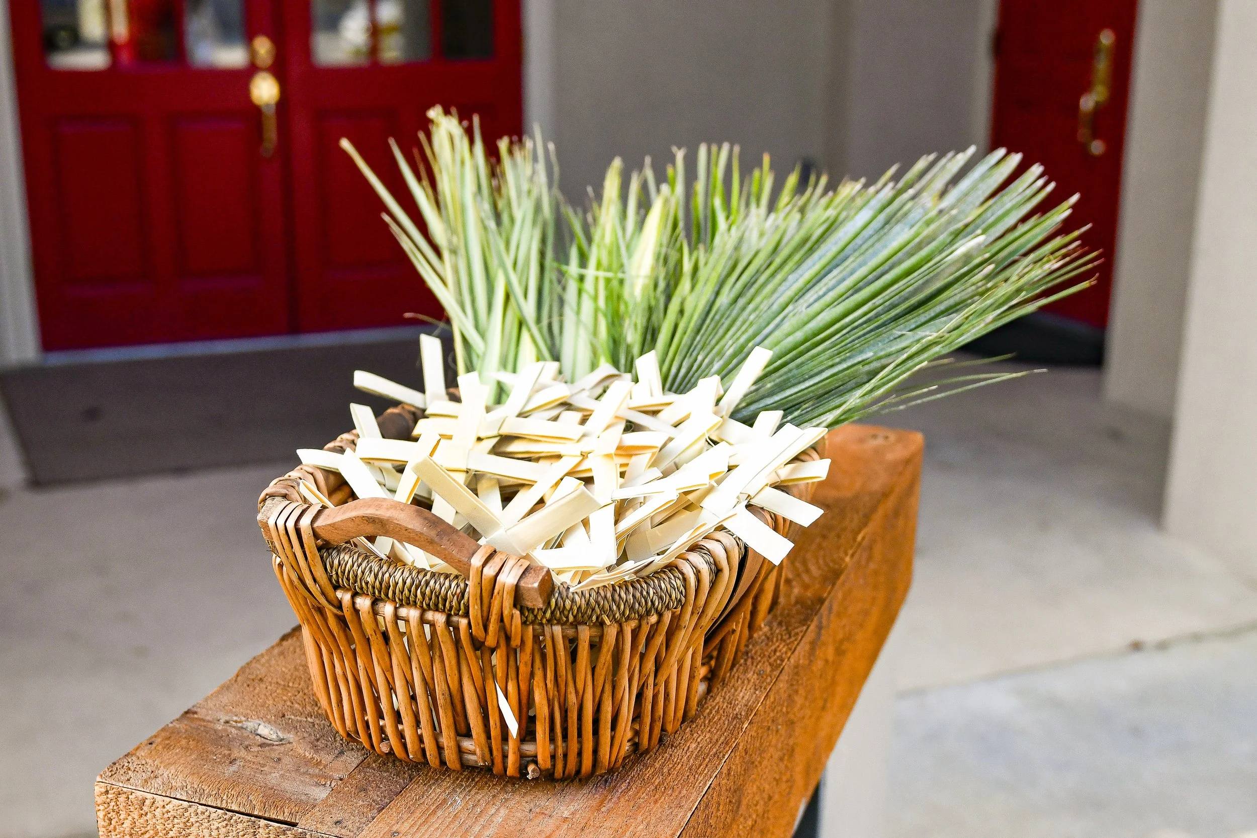 Palm Sunday 2026 Web-2.jpg