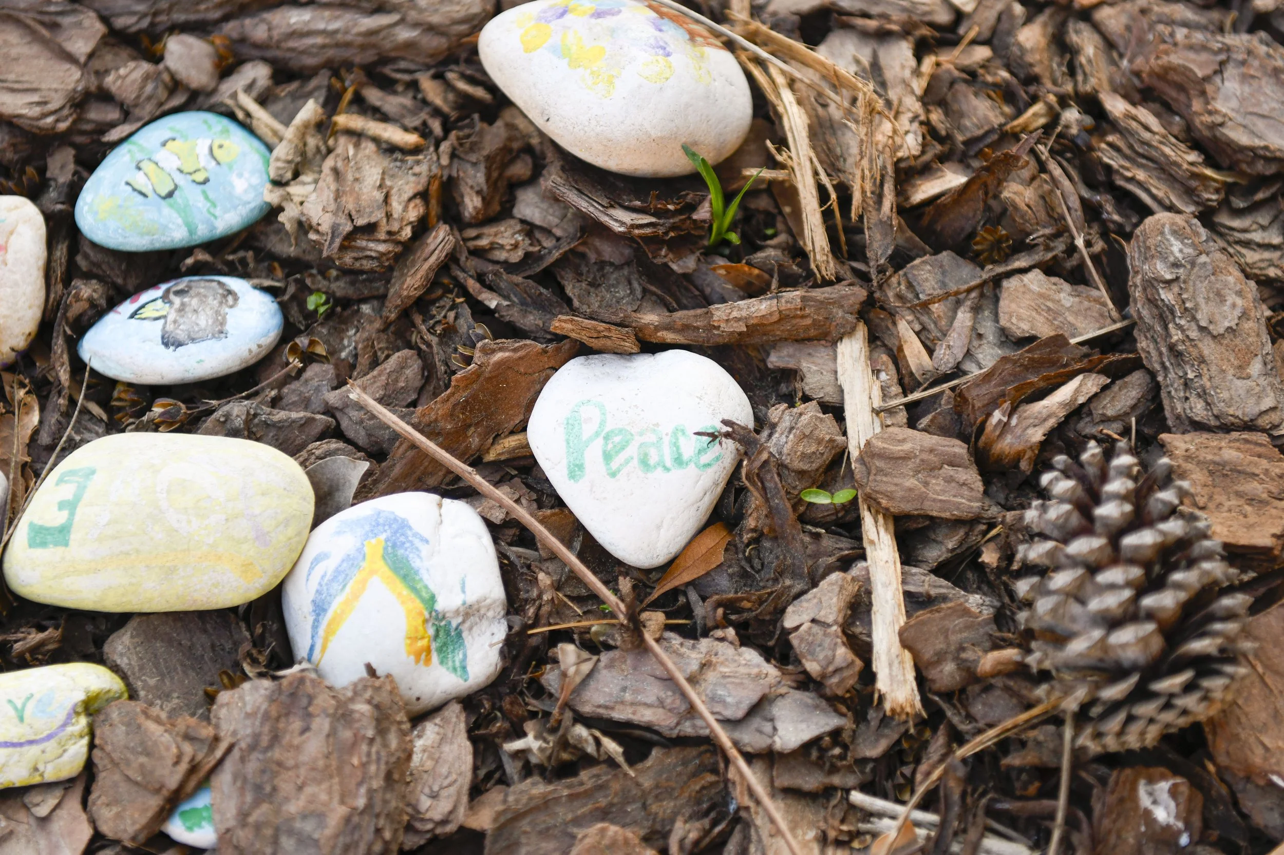 Palm Sunday 2026 Web-3.jpg