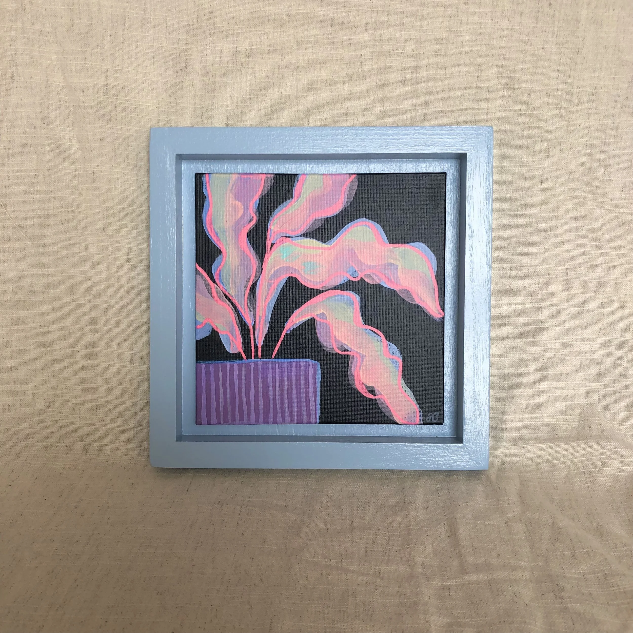 Calathea No.01 in Purple Stripe Pot