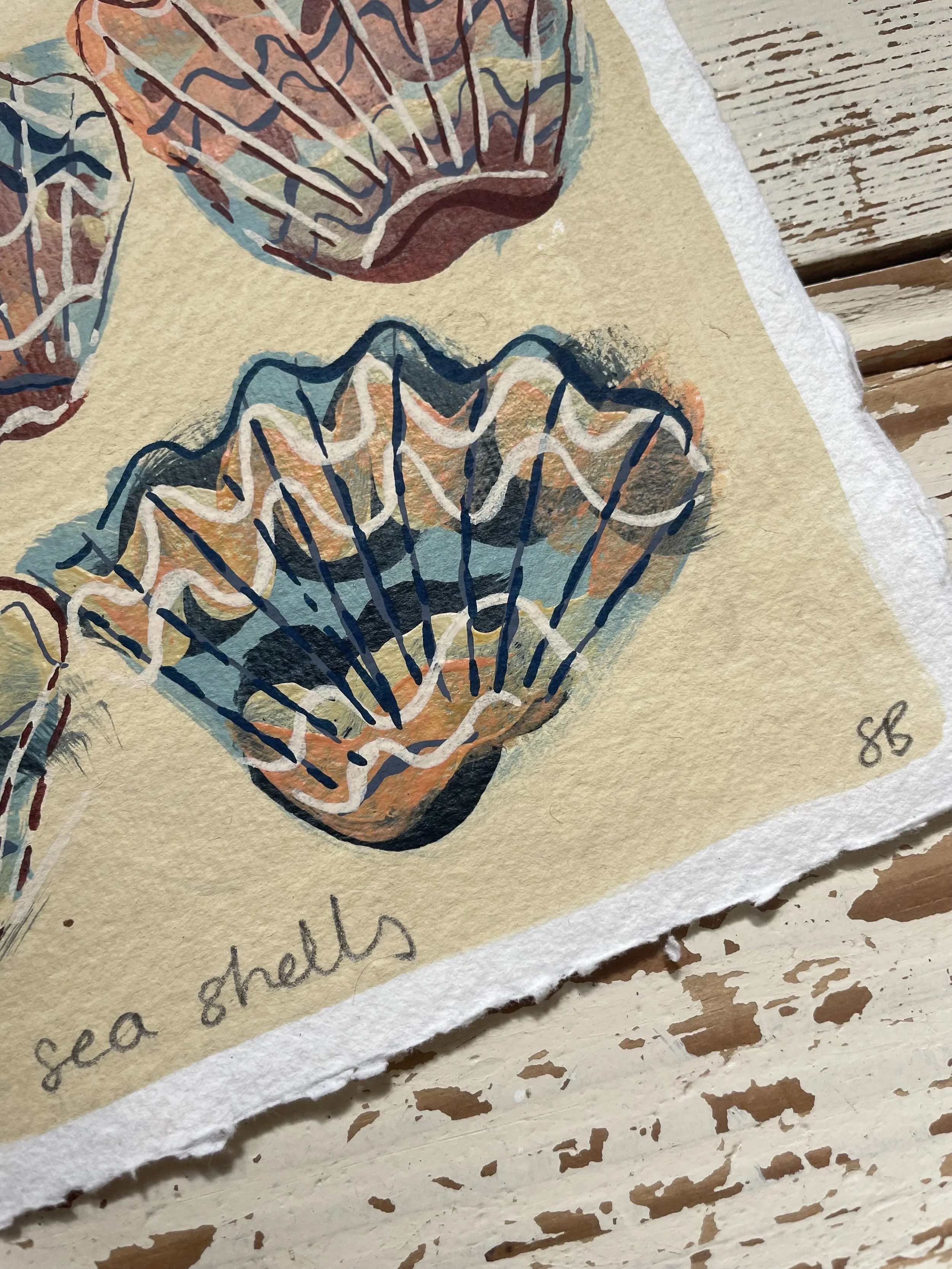 Sian Beck_She sells sea shells01_Image 05.jpeg