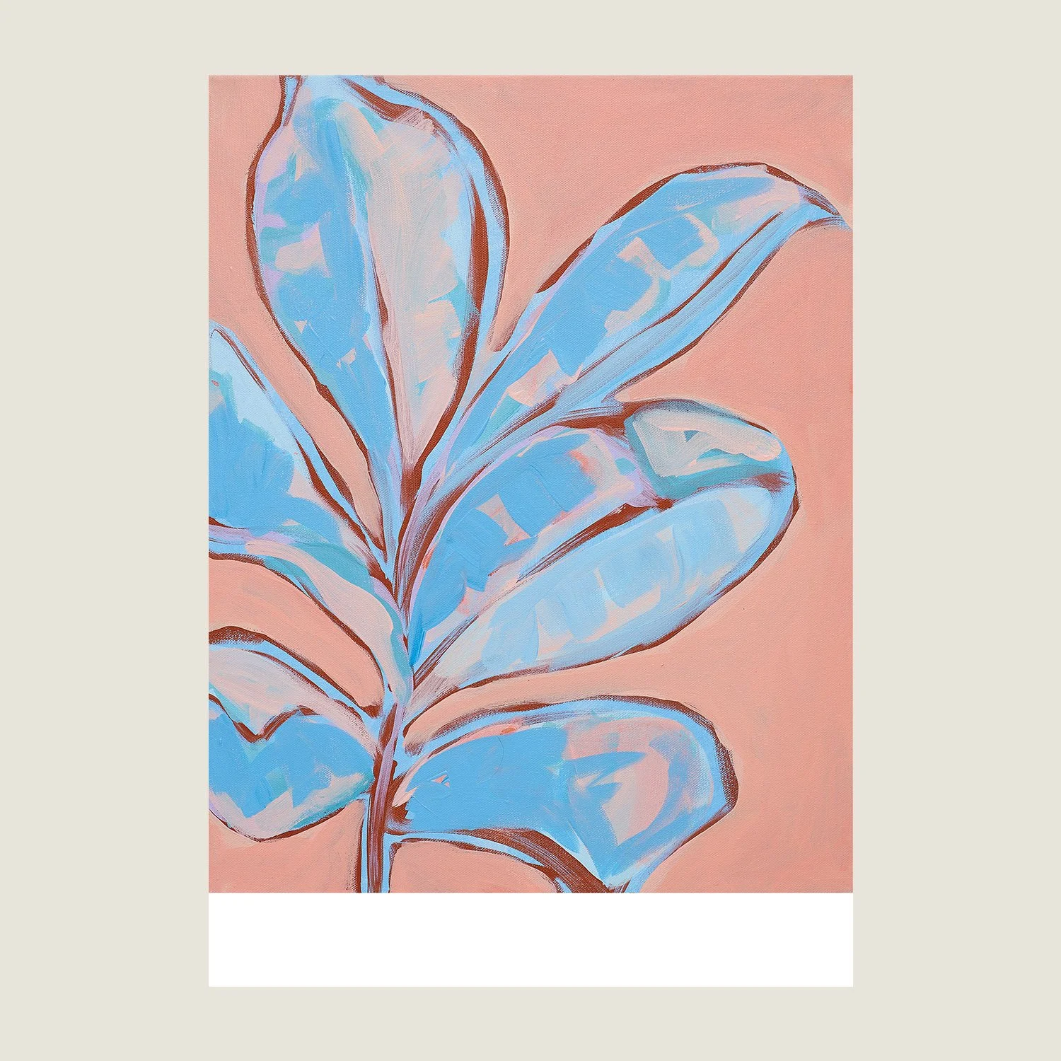 Blue Rubber Plant on Pink_01_layout.jpg