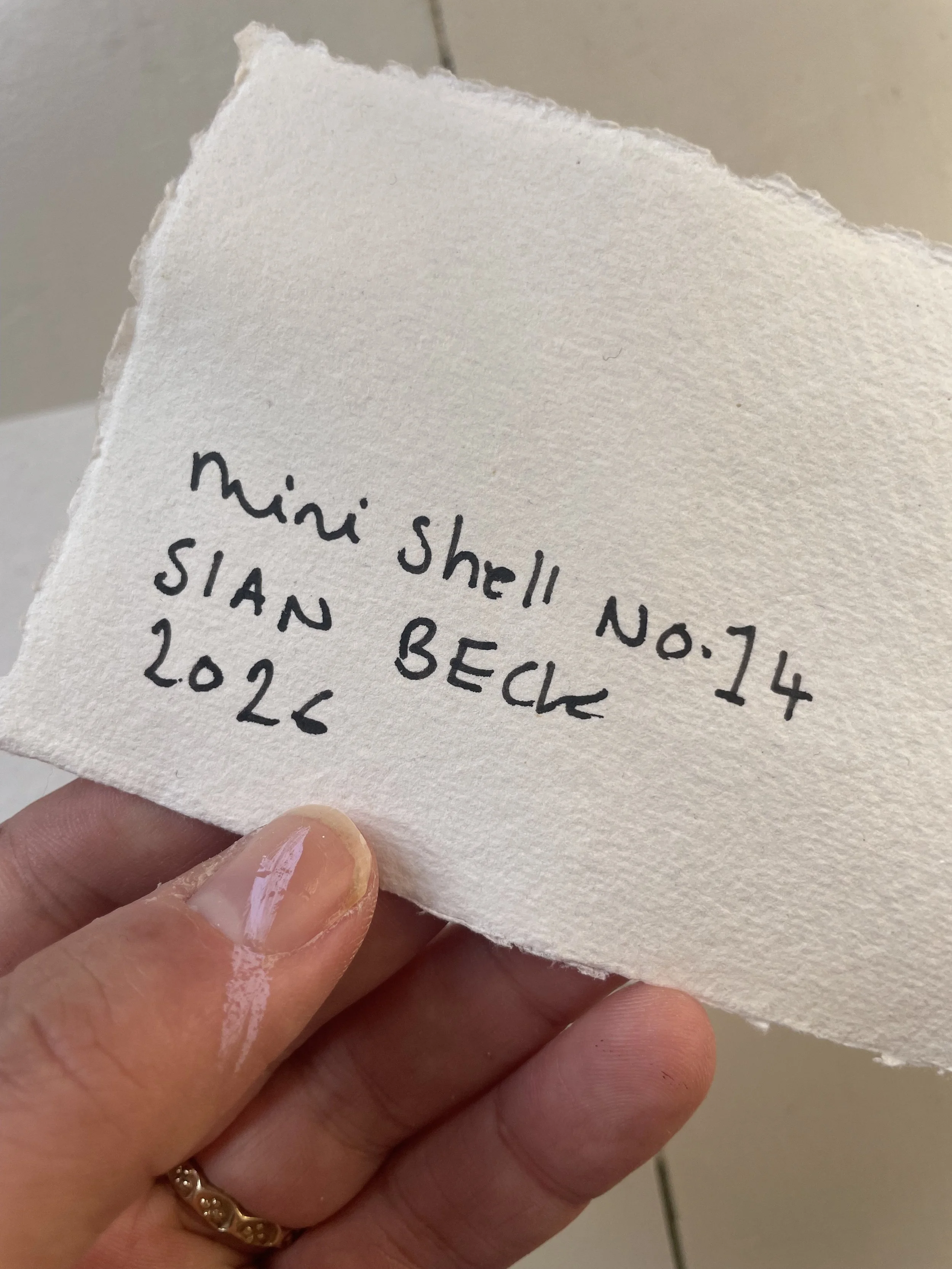Mini Shell_14_01.jpeg