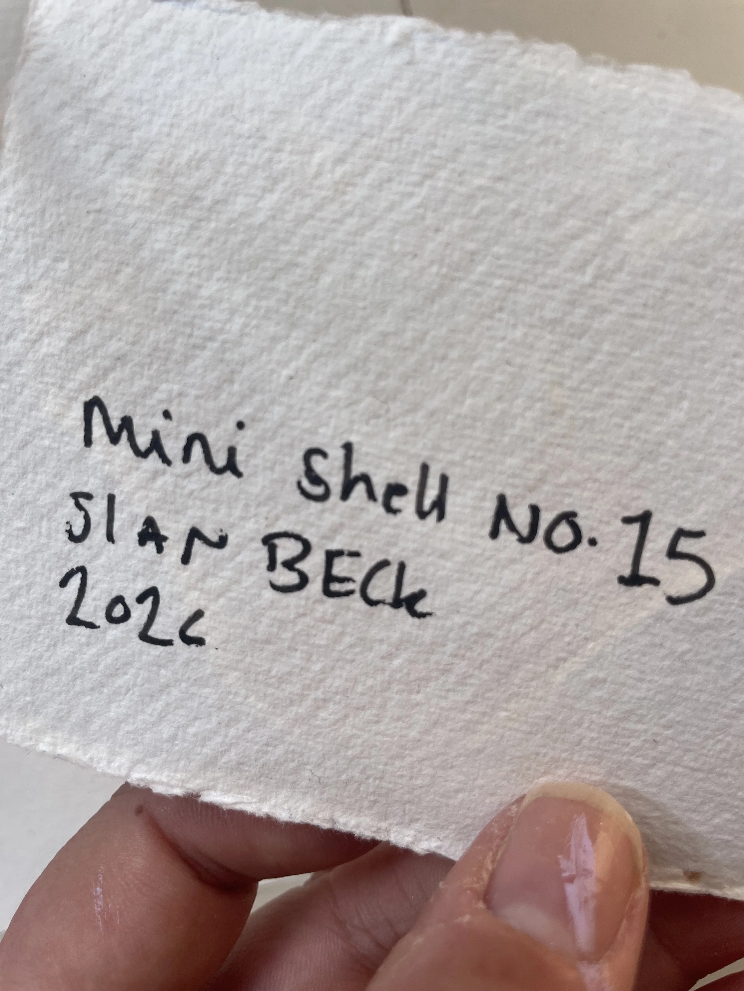 Mini Shell_15_01.jpeg