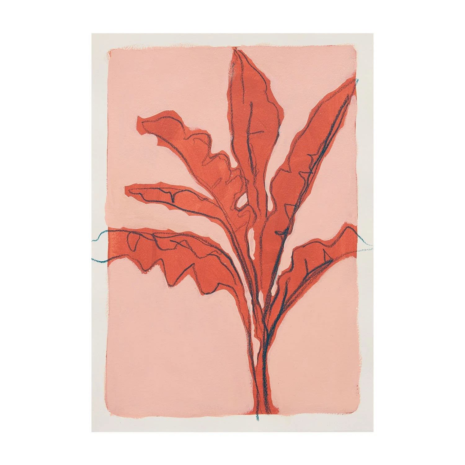 tropical studies_04_layout.jpg