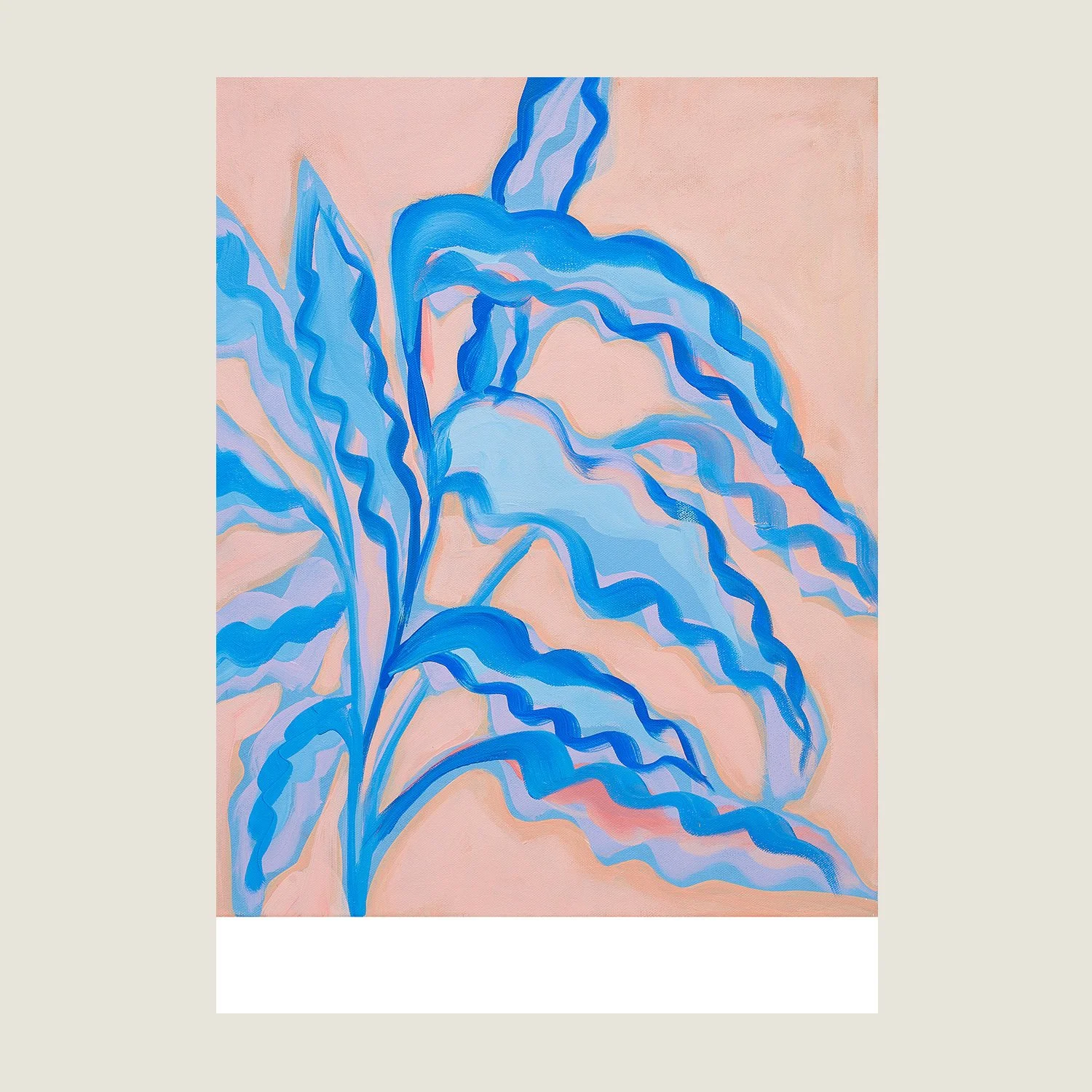 Blue Velvet Calathea on Pink: Giclee Print