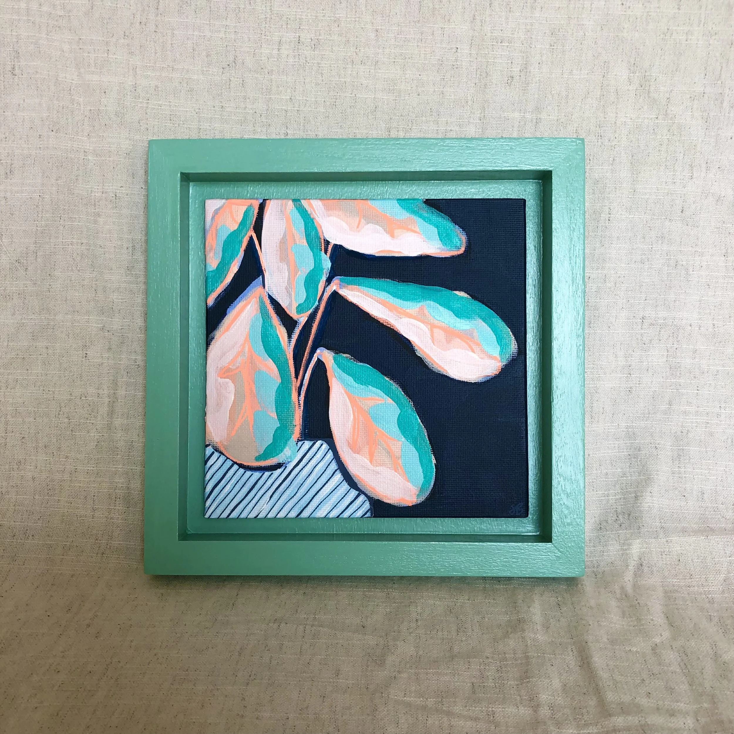 Calathea No.2 in Stripe Pot