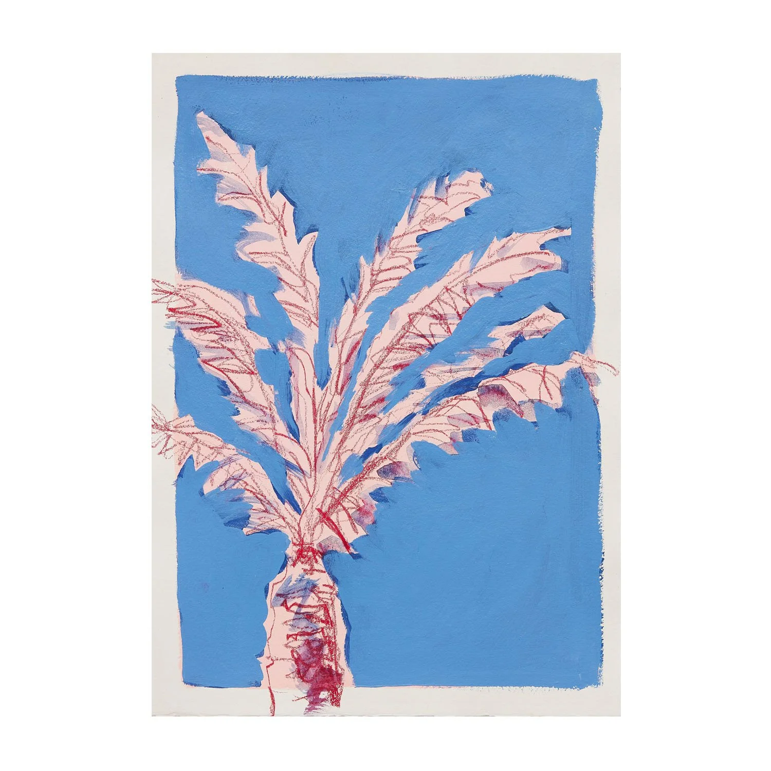 tropical studies_05_layout.jpg