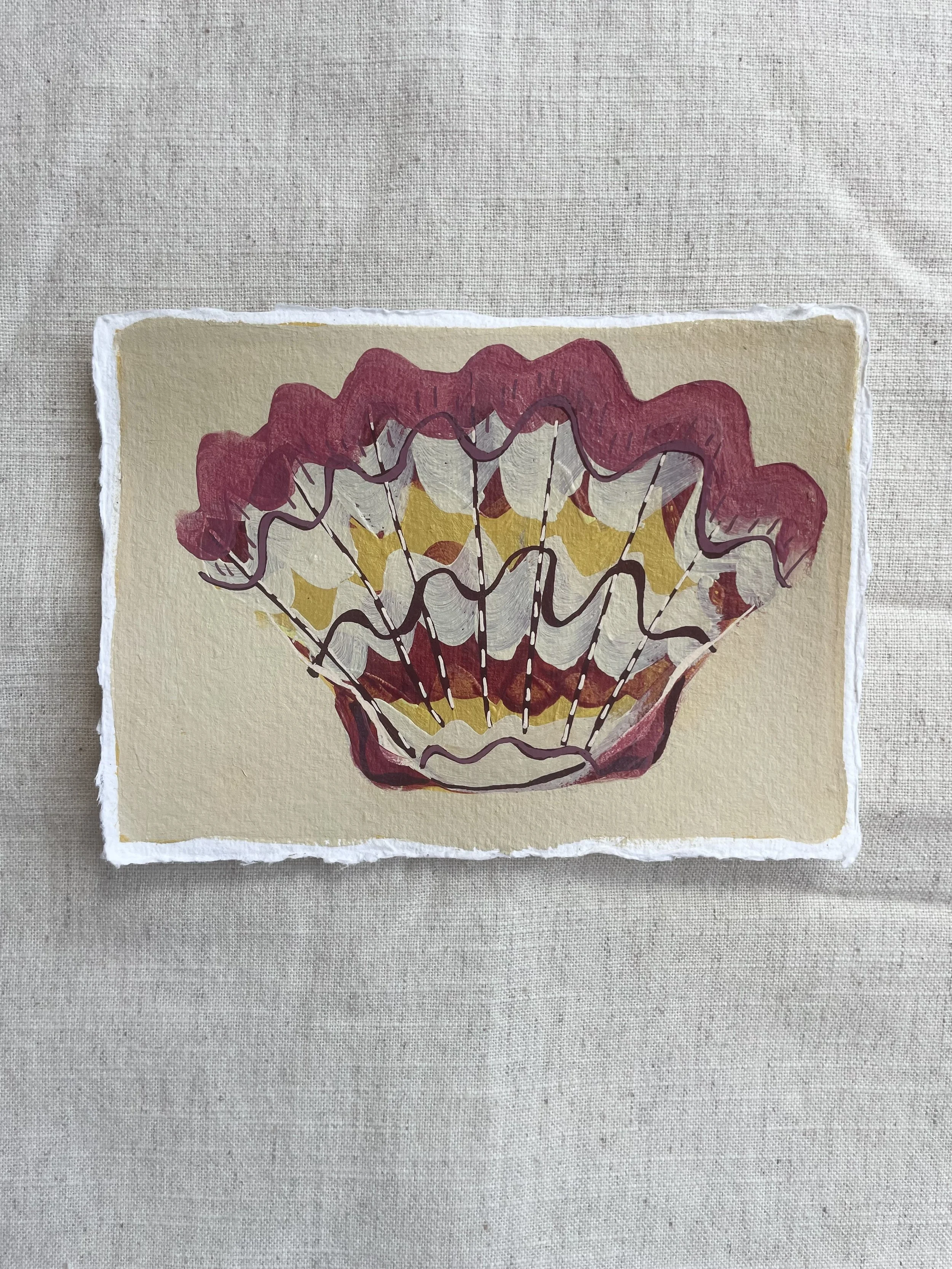 Sian Beck_Shell Study 003_01.jpeg