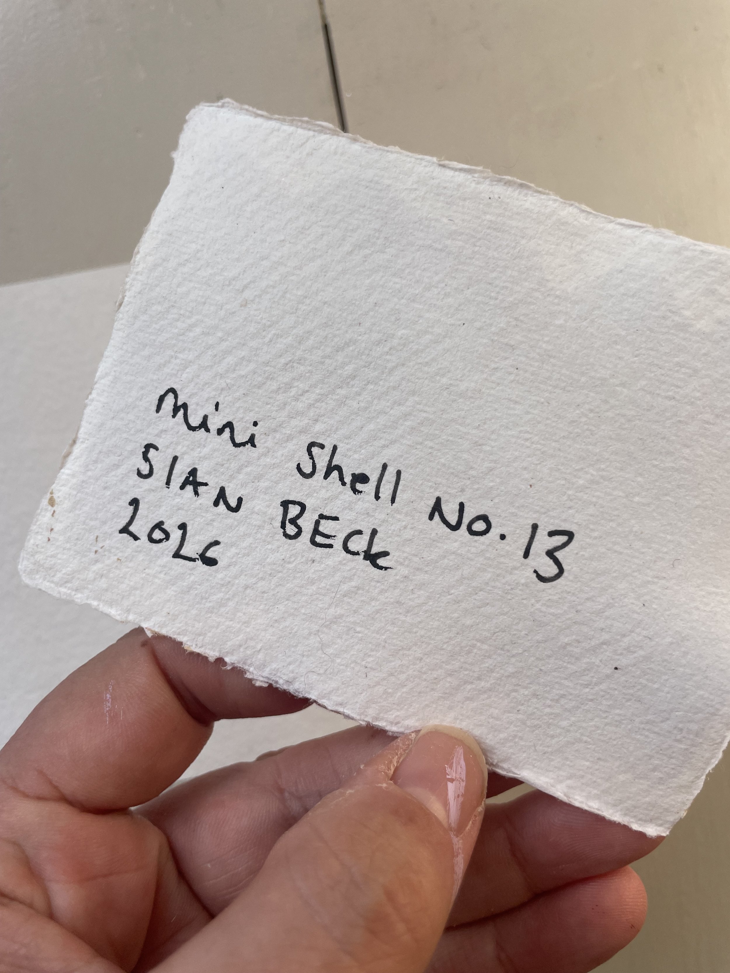Mini Shell_13_01.jpeg