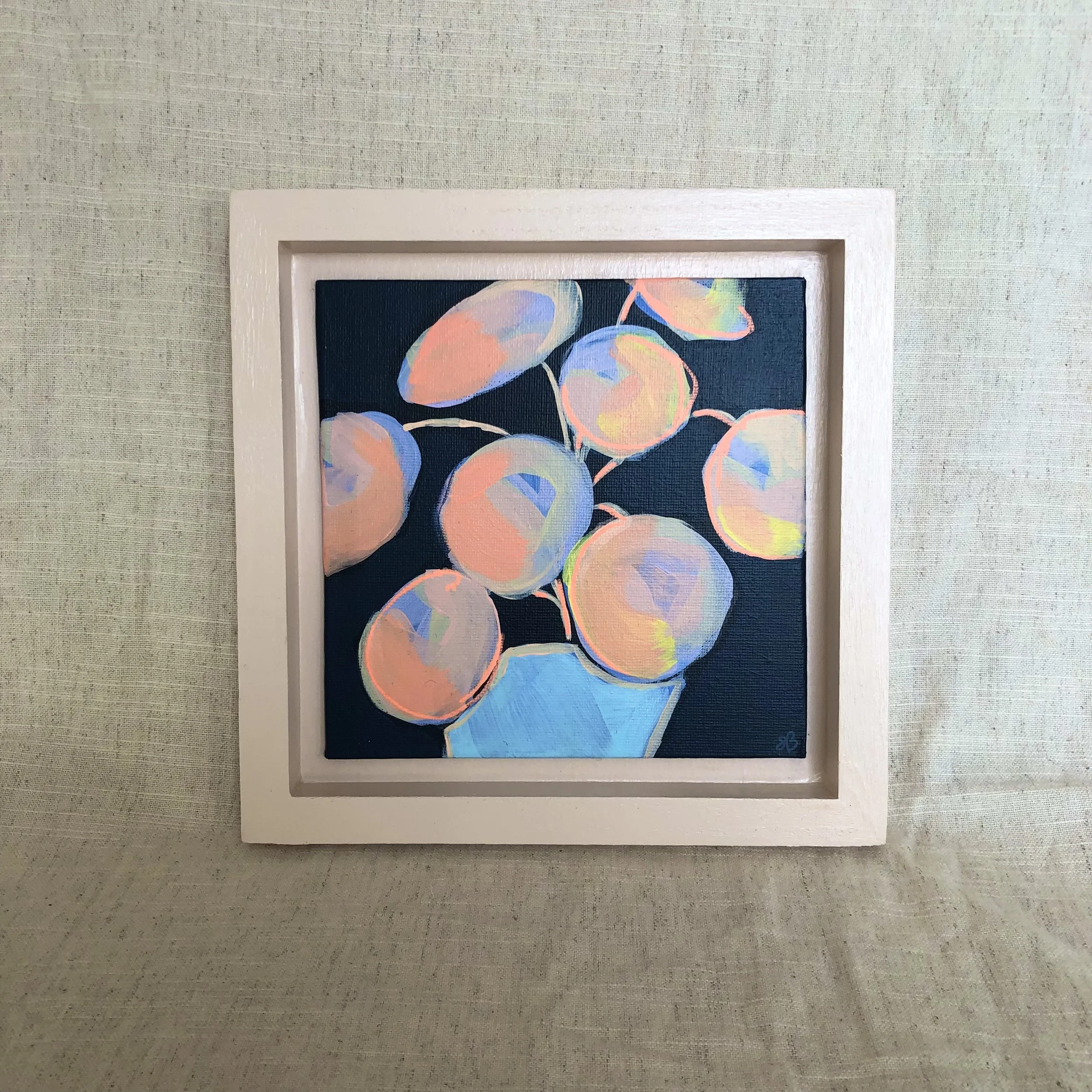 Pilea No.2 in Blue Pot