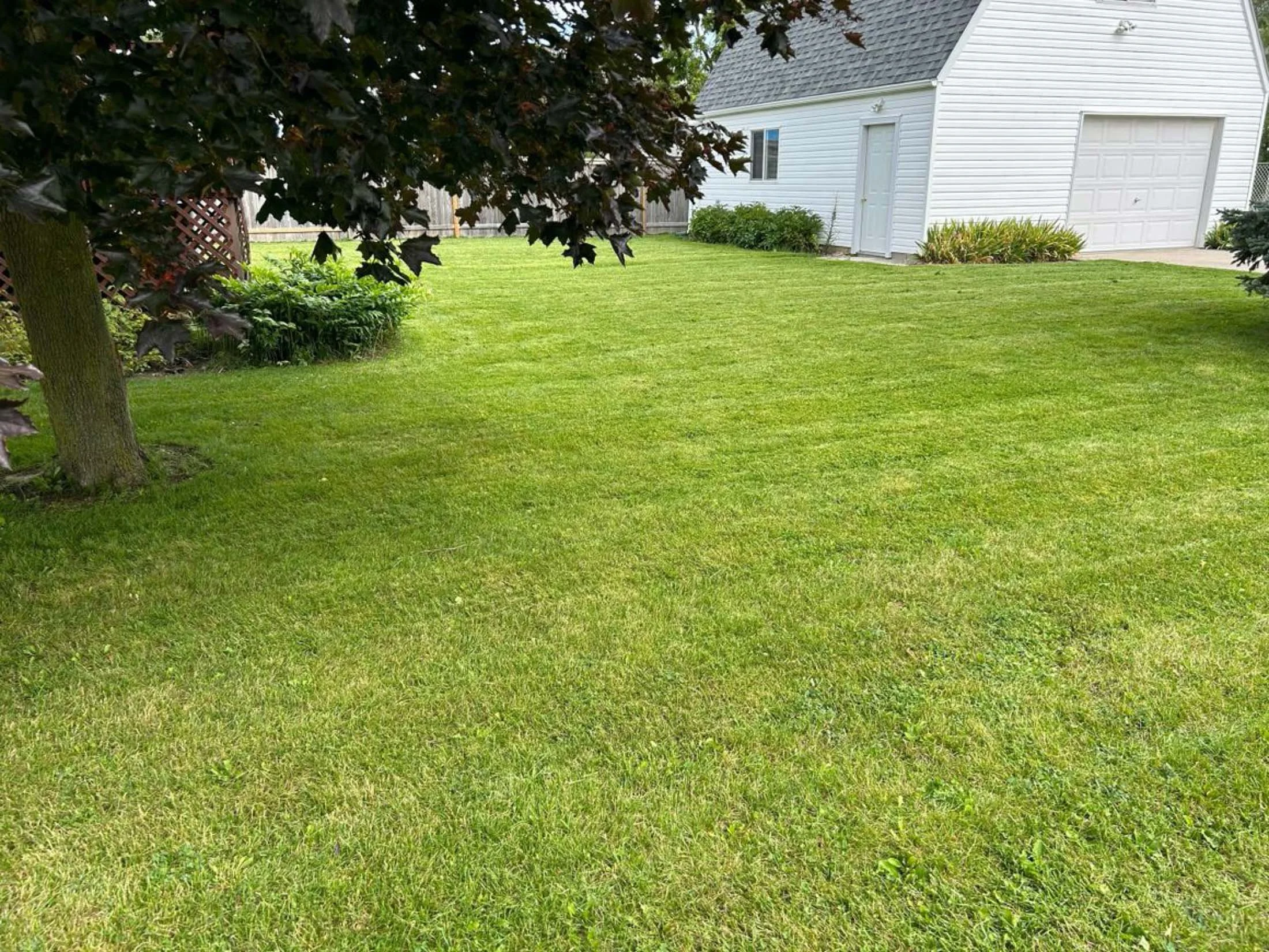 Lawn Care & Grass Cutting Forest ON, property maintenance Lambton Shores, lawn aeration and dethatching Forest Ontario, lawn rolling services Lambton Shores, spring and fall cleanup Forest Ontario, grass cutting and lawn maintenance Forest Ontario