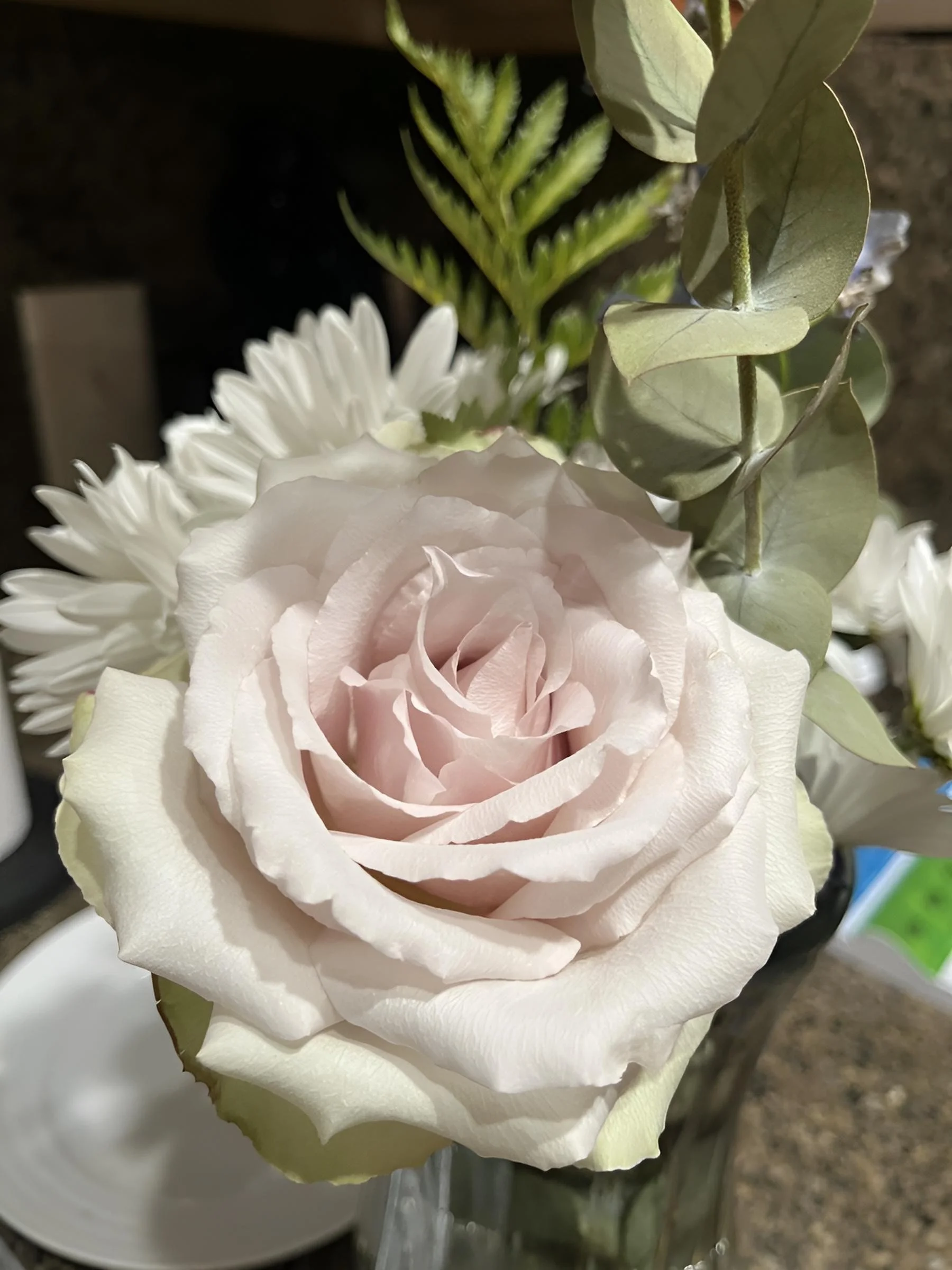 Close-up of a pale pink rose surrounded by white flowers and green leaves.
