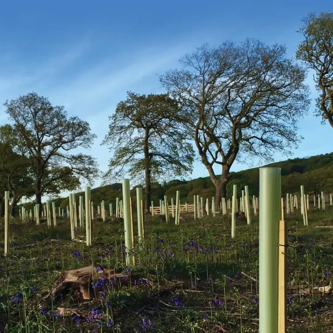 Tree Protections Northern Landscape Supplies.webp