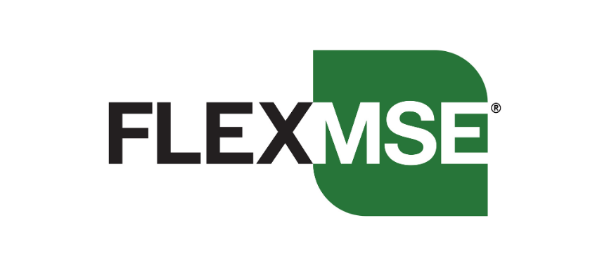 FlexMSE Logo.png