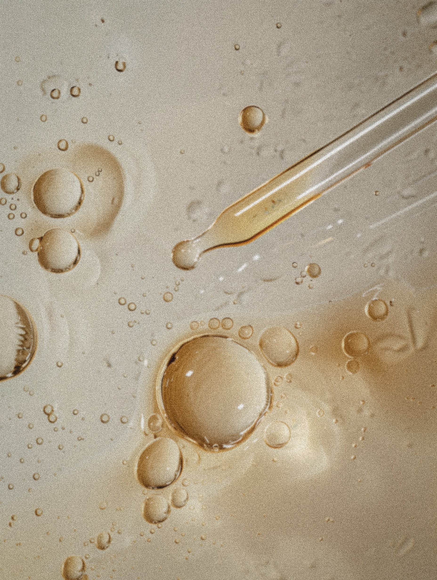 Oil droplets and a glass pipette in a liquid solution.