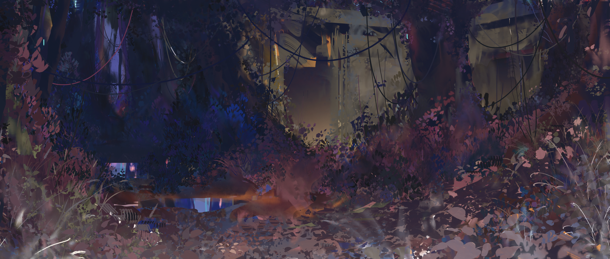 2025-01-29_Erashov(18).png