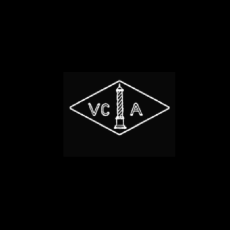 Neon sign with a torch in the center, surrounded by the letters 'VC' on the left and 'A' on the right, all displayed on a black background.