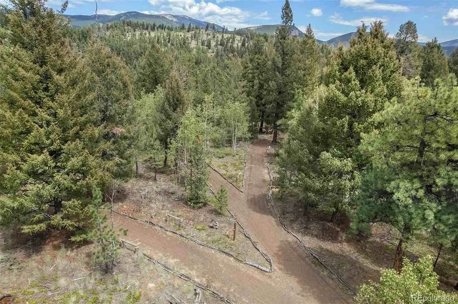 A dirt trail winding through a dense forest of tall green trees, with mountains and a partly cloudy sky in the background.