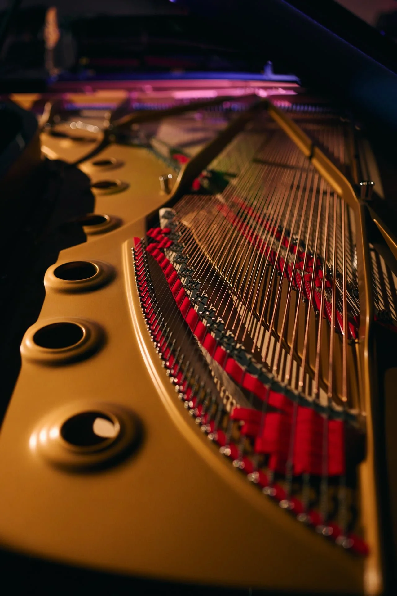 Festival Leicht über Linz