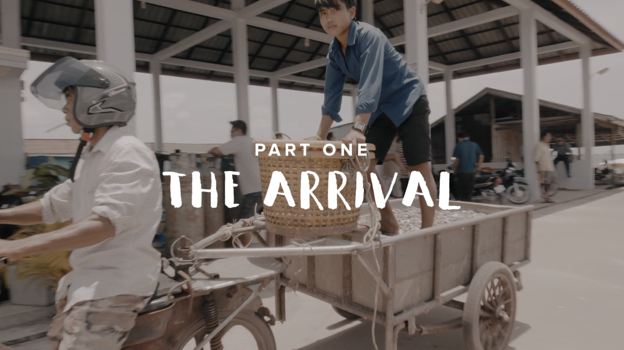 THE ICONIC The Arrival (Boys)