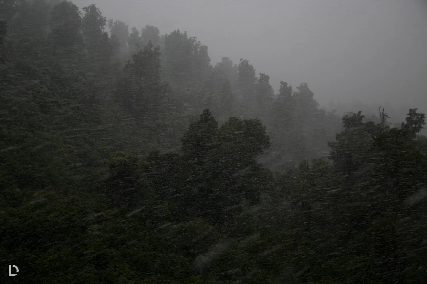 CAM15611.jpg