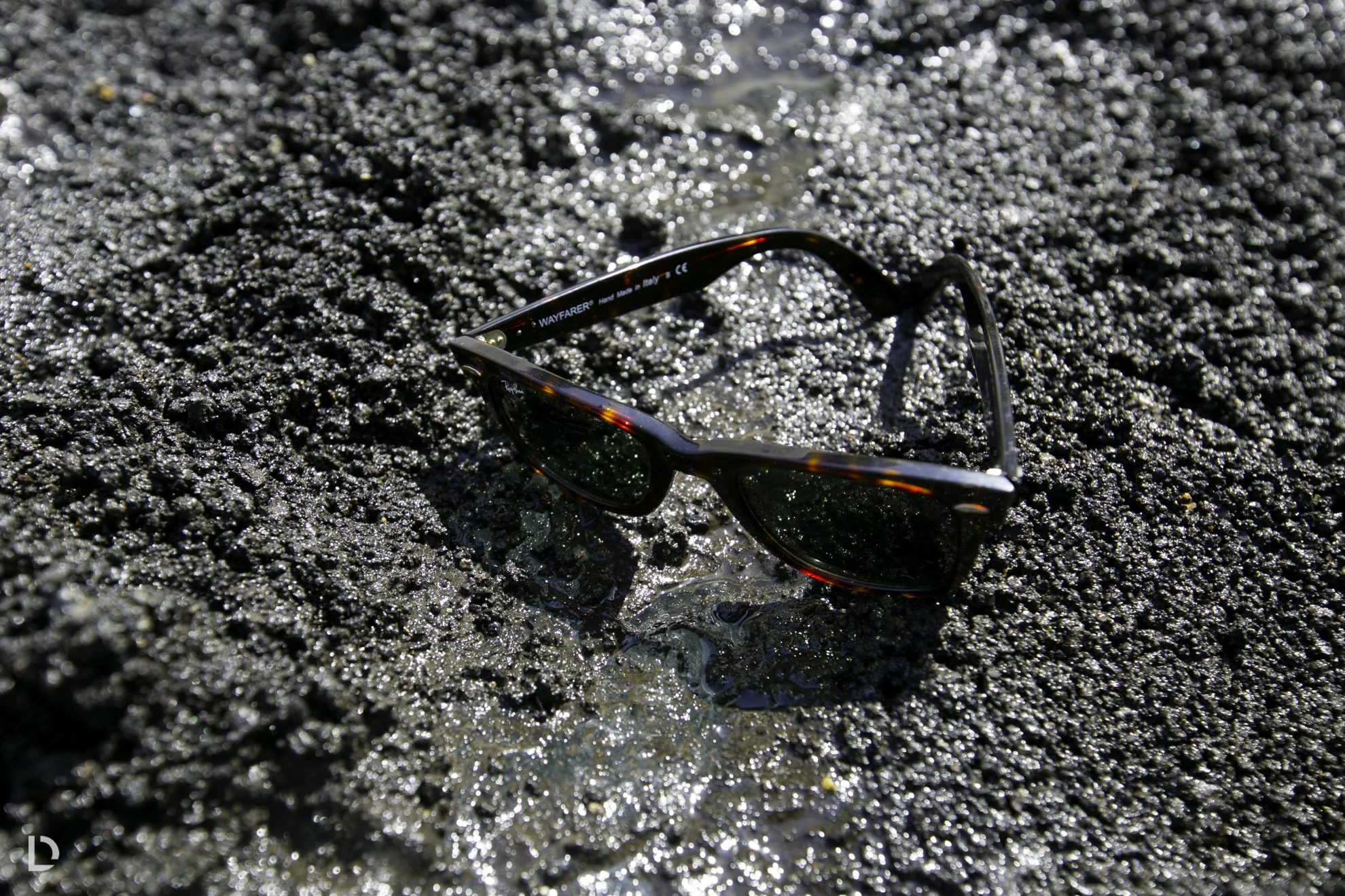 CAM13062.jpg