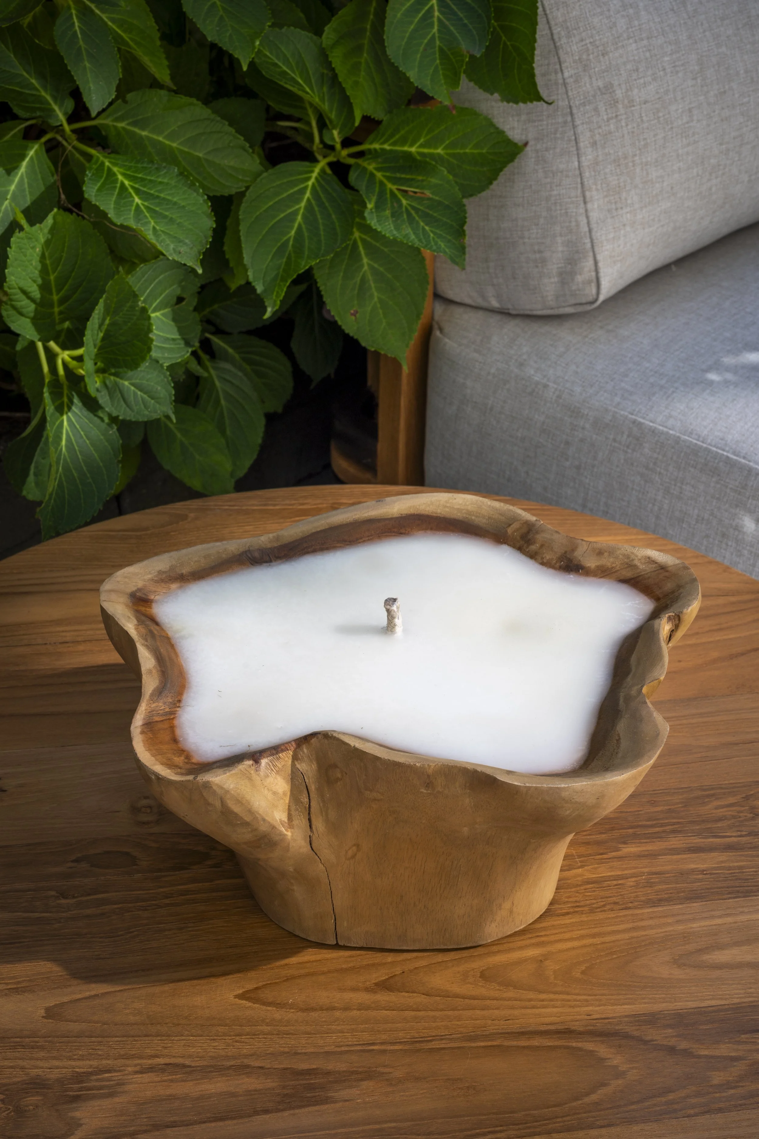 DJWC9002003_Kenriz (02).jpg