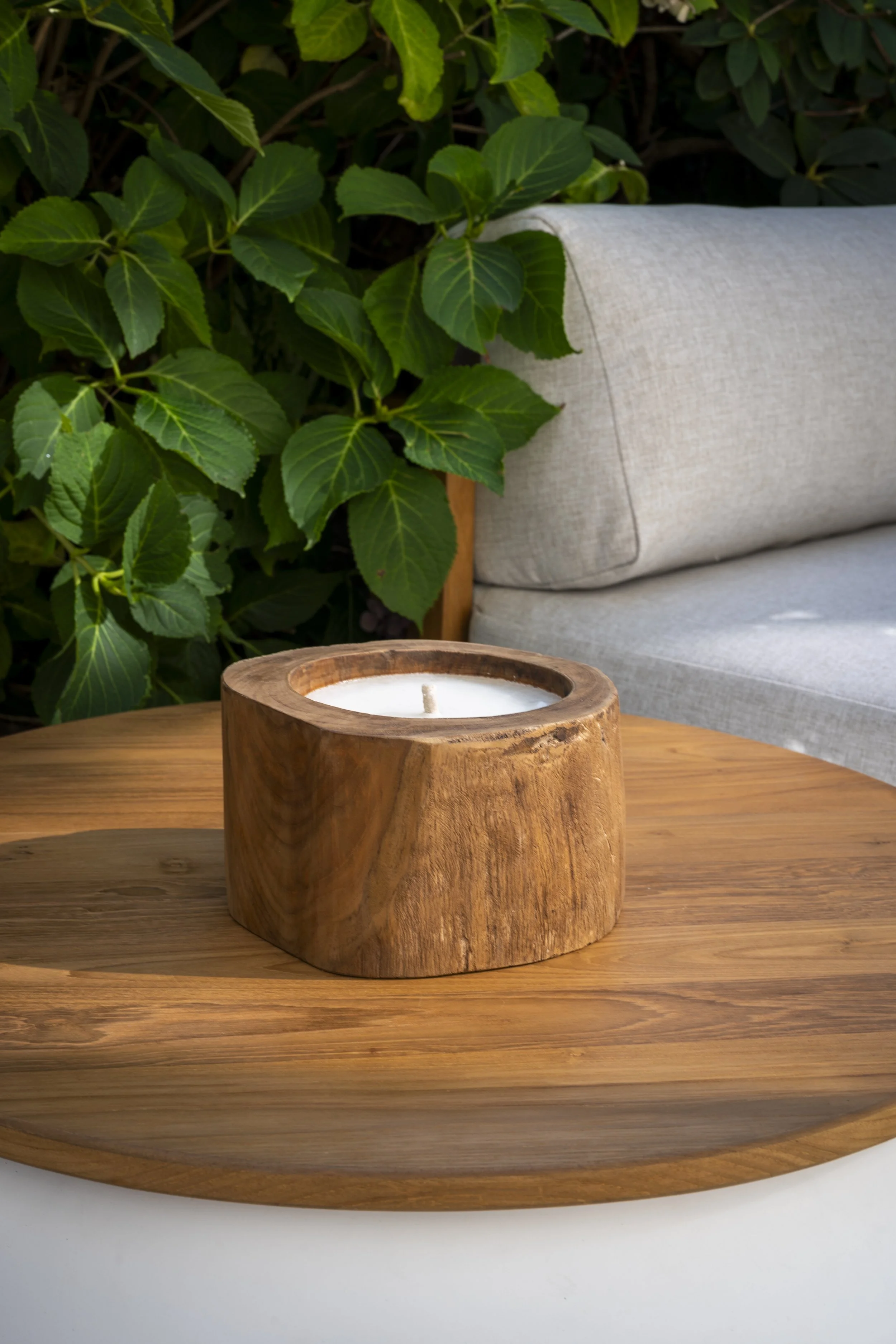 DJWC9002006_Vanez (02).jpg