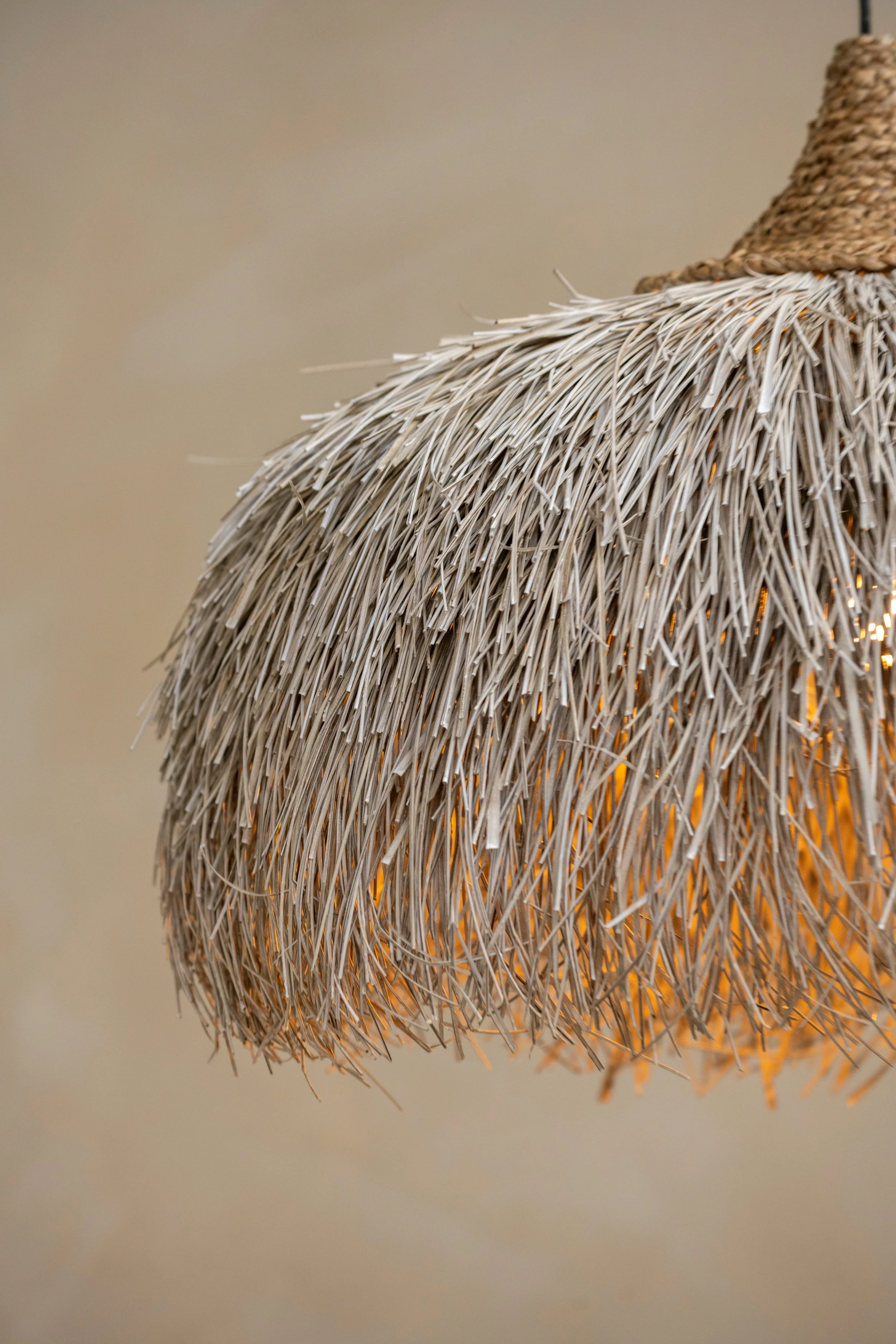 DELS7701001_C.Spike_details (01).jpg