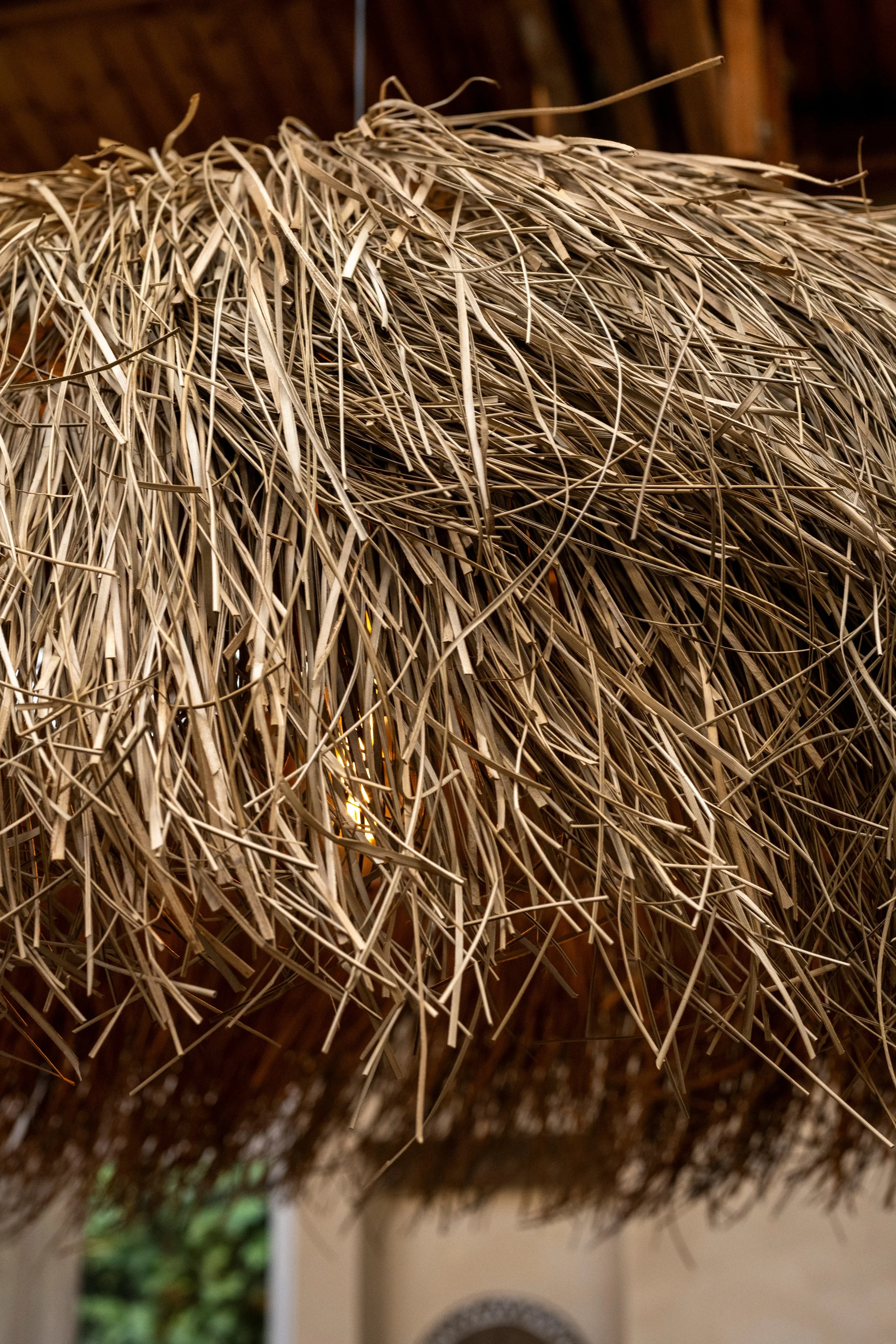 DELS8210004_C.Woles_details (01).jpg