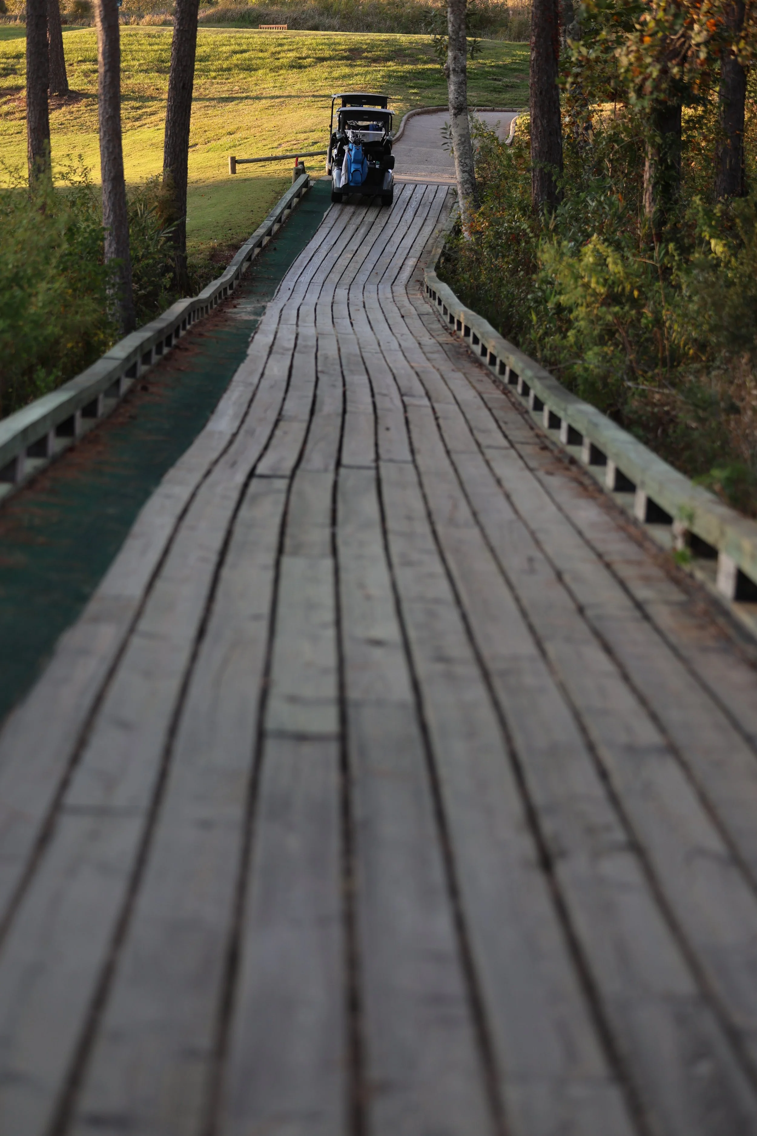 Wooden golf cart path with surrounding trees and greenery, leading to a golf cart at the end of the path.