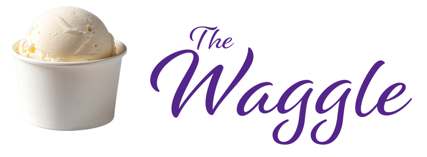 A scoop of vanilla ice cream in a white bowl.