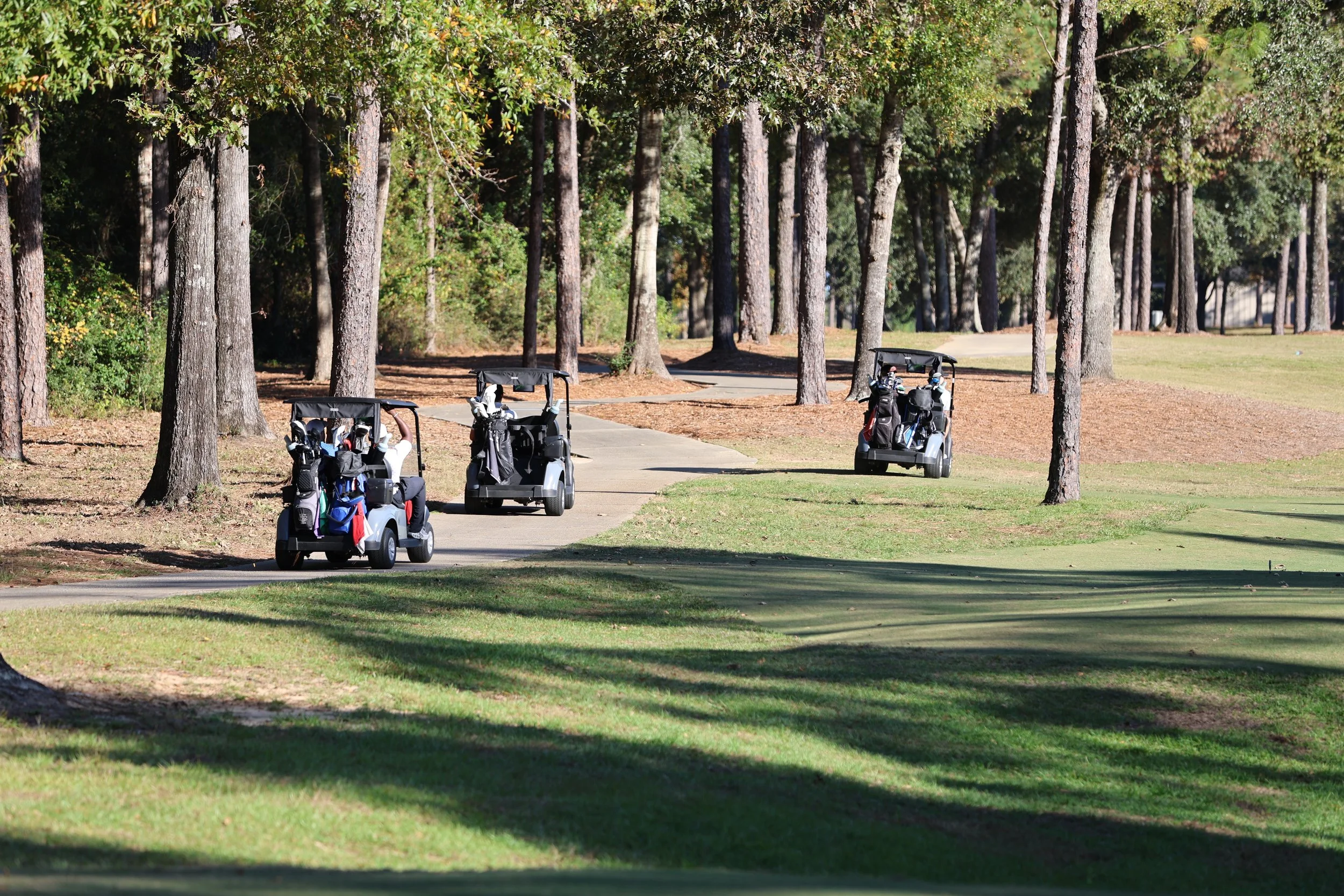 Three golf carts on a golf course surrounded by tall trees and green grass.