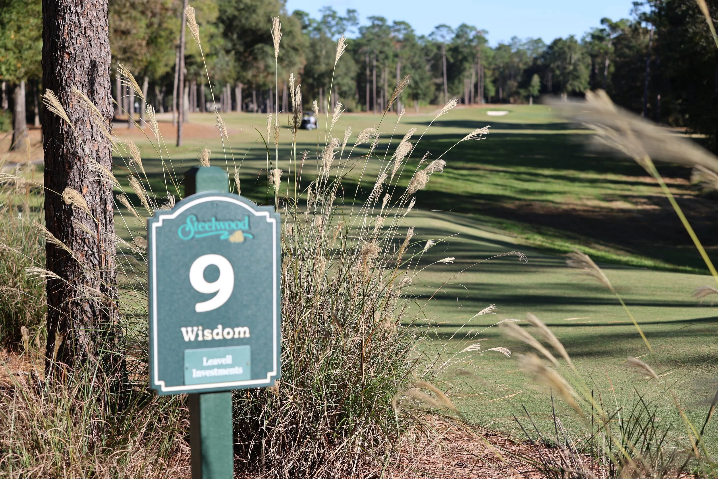 A golf course with a sign in the foreground labeled "9 Wisdom Level Investments," with trees and a golf green in the background.