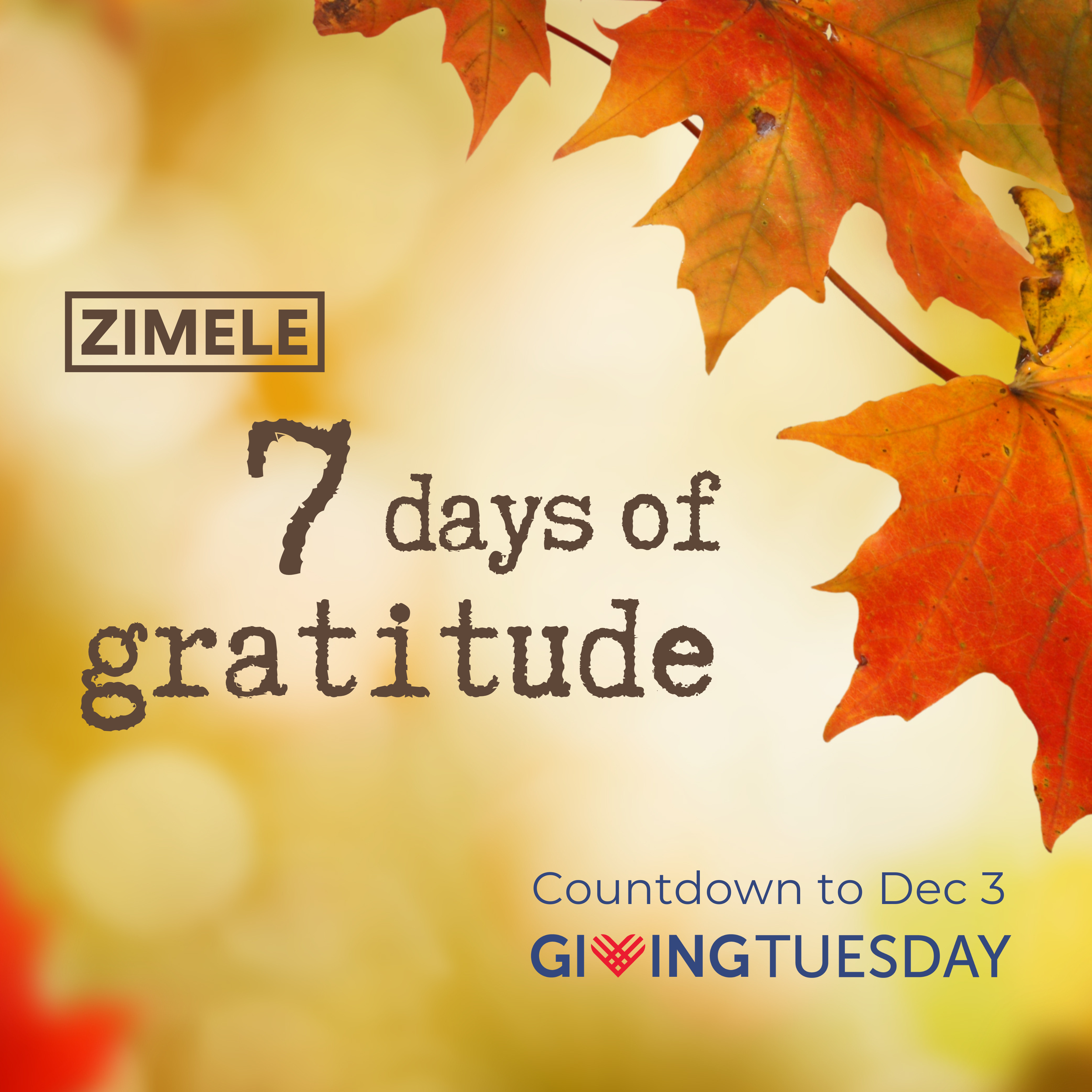 7 Days of Gratitude