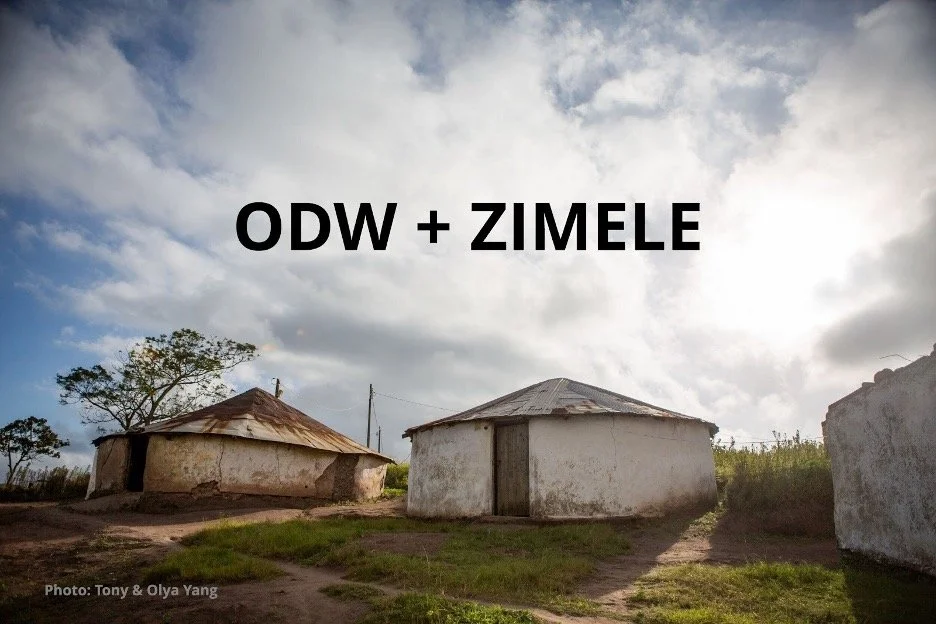 Zimele + One Day's Wages
