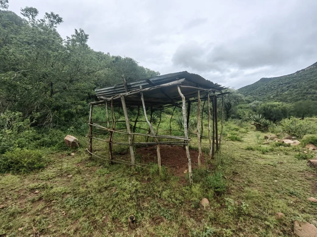 Part 1 - Celuwazi’s Comunity Center: The Beginning of Something New