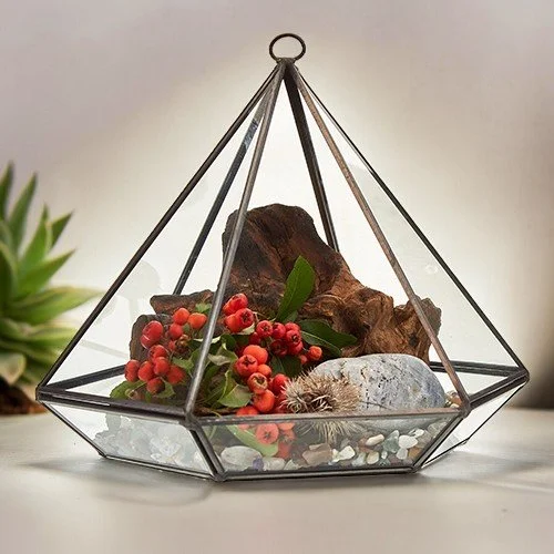 Glass &amp; Brass Terrariums
These terrariums are perfect for air plants or artificial plants. 

Unleash your creativity and design mini gardens or display your gemstones! 

Check out the newest models with a wooden base to the terrarium, combining t