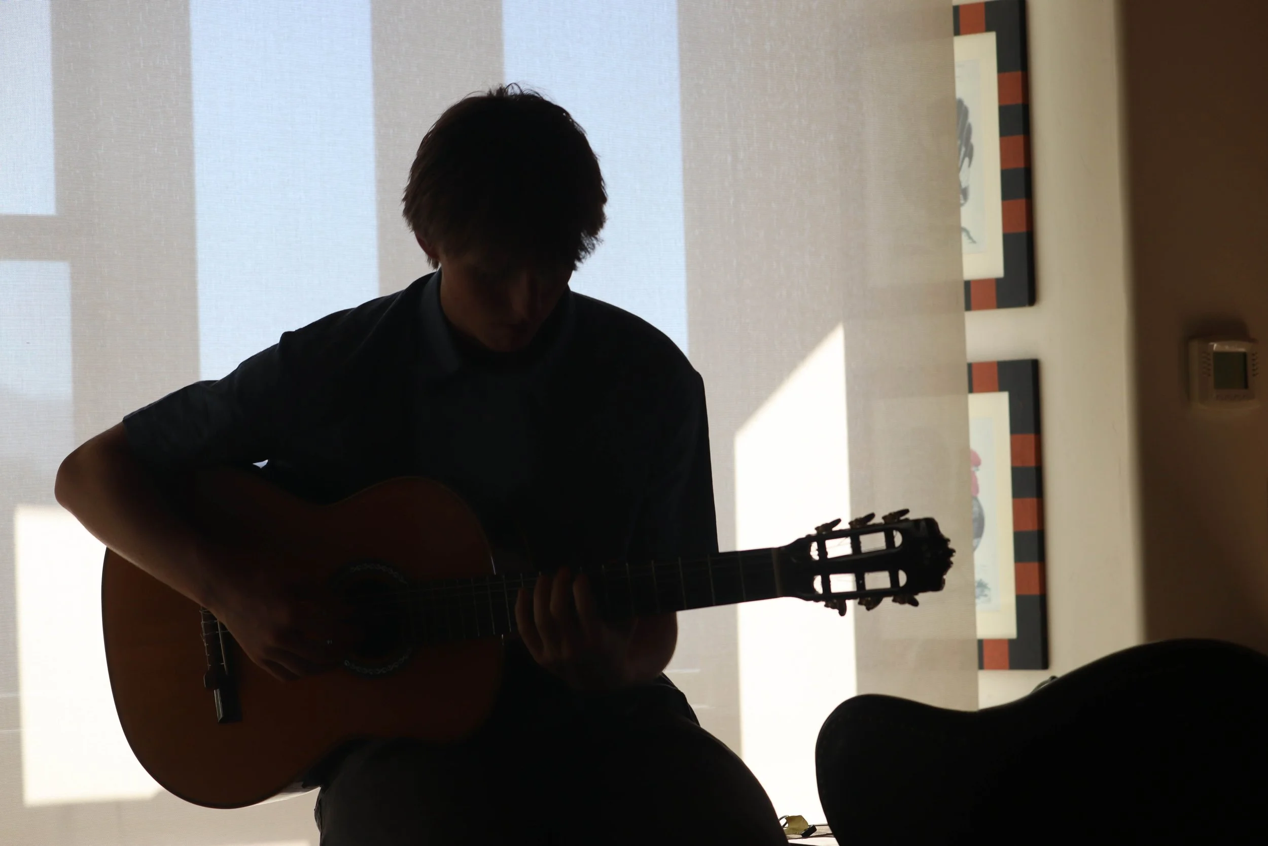 Silhouette of a person playing an acoustic guitar indoors with a white screen or wall behind them and some framed artwork on the wall.