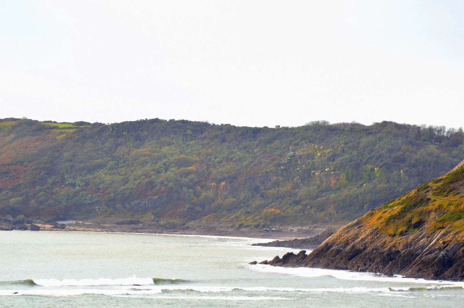 Coastal landscape with rolling green hills and rocky shoreline, gentle waves in the water, overcast sky.