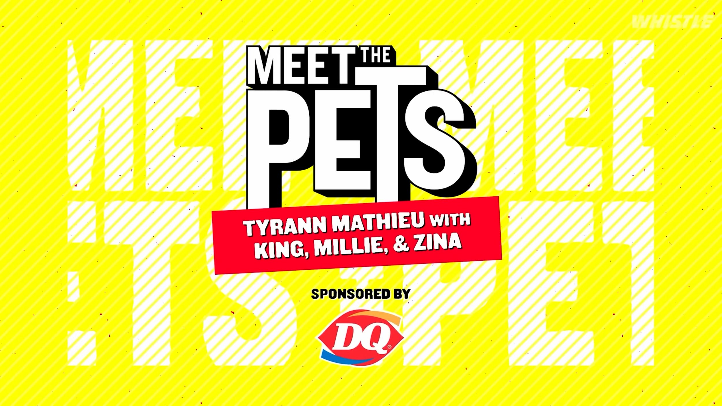 Promotional image with a yellow background and various white words in a pattern. In the center, bold black and white text reads "Meet the Pets." A red banner below states "Tyrann Mathieu with King, Millie, & Zina." The Dairy Queen (DQ) logo is at the bottom, indicating sponsorship.