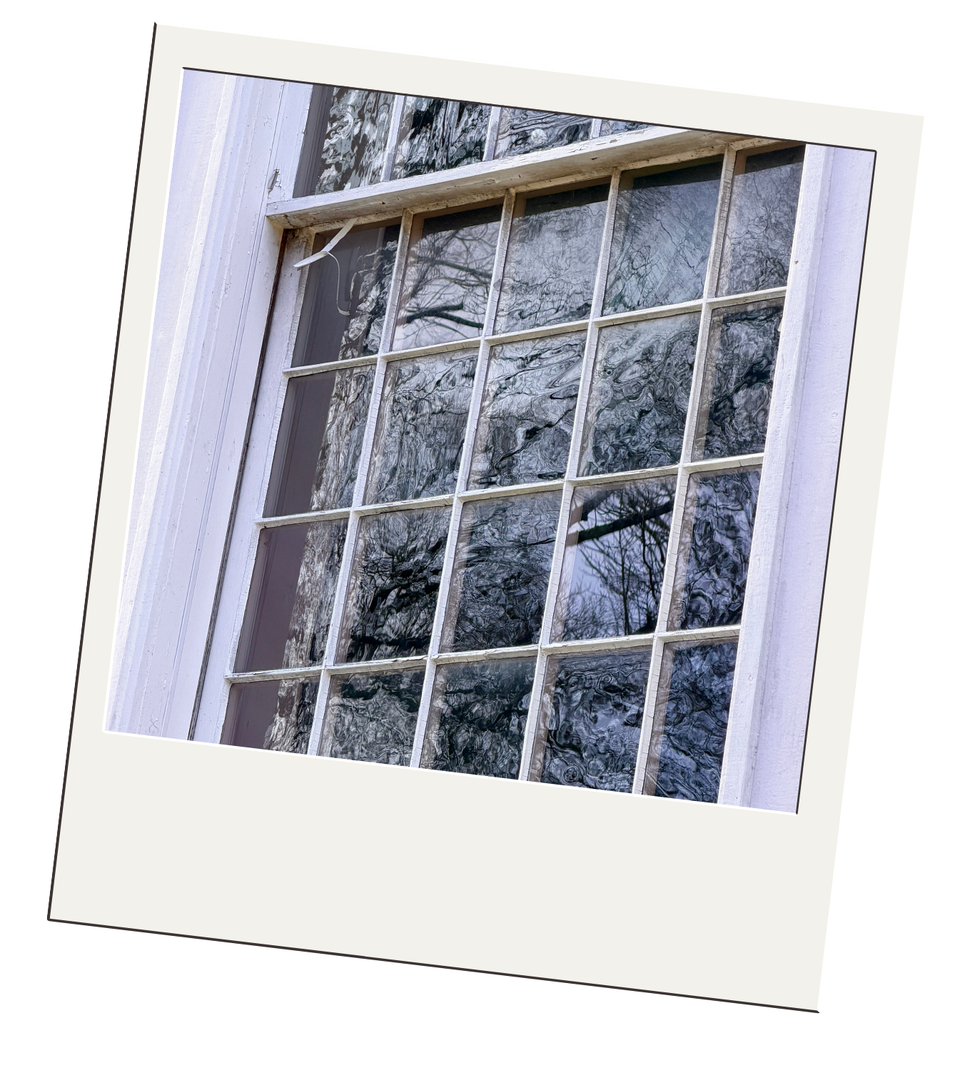 Close-up of a window with multiple panes, reflecting trees and the sky, with some window frames slightly weathered.