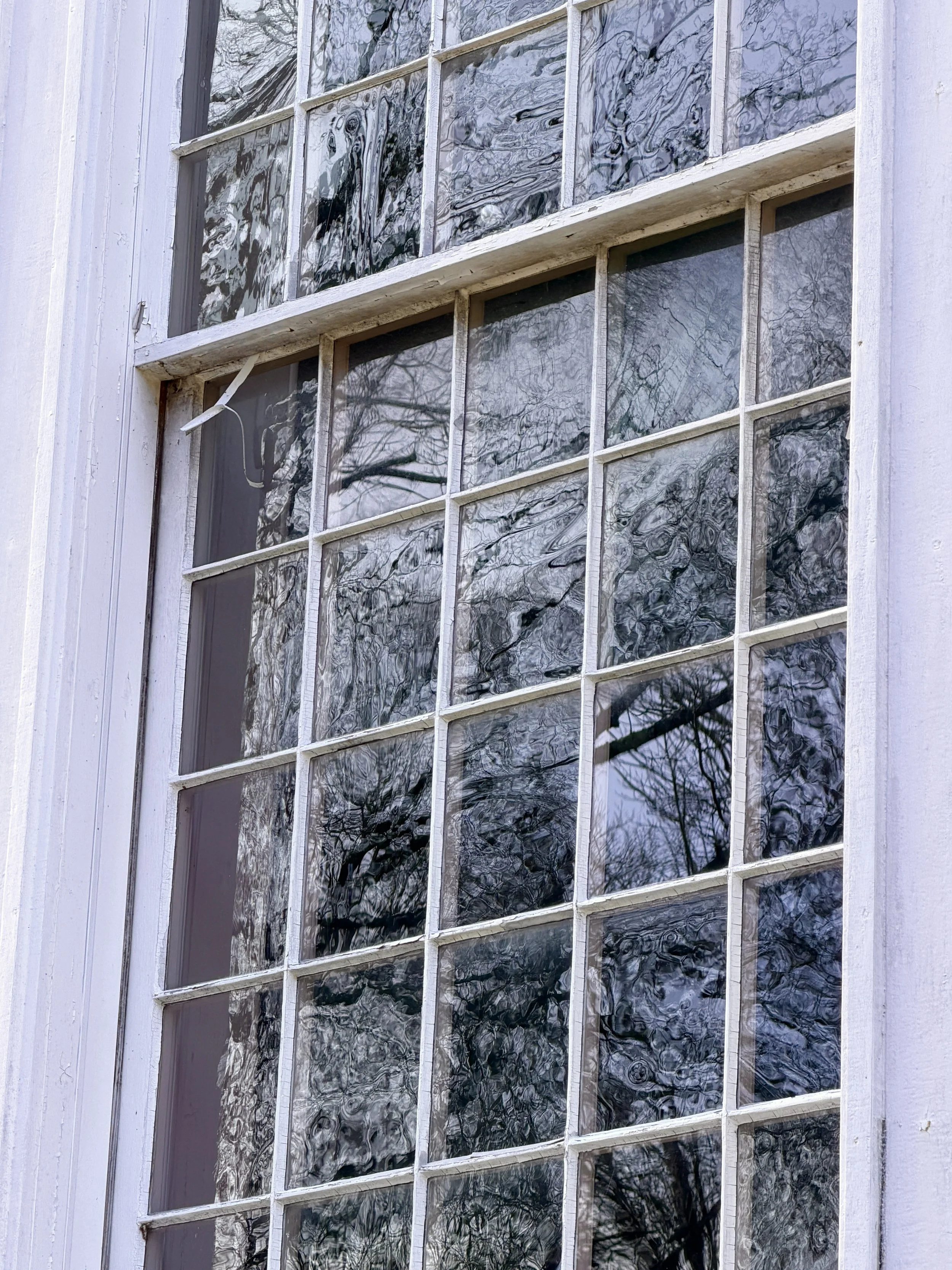 Close-up of a multi-pane window with white wooden frames, reflecting trees and cloudy sky.
