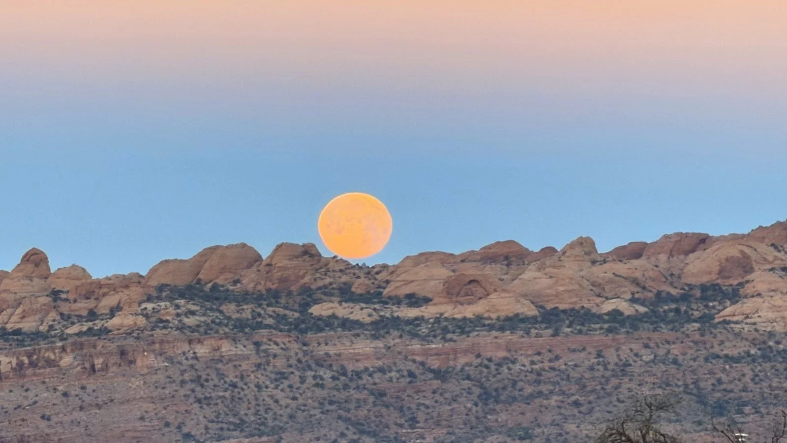 Beautiful Blood Moon Captured from the Ranch