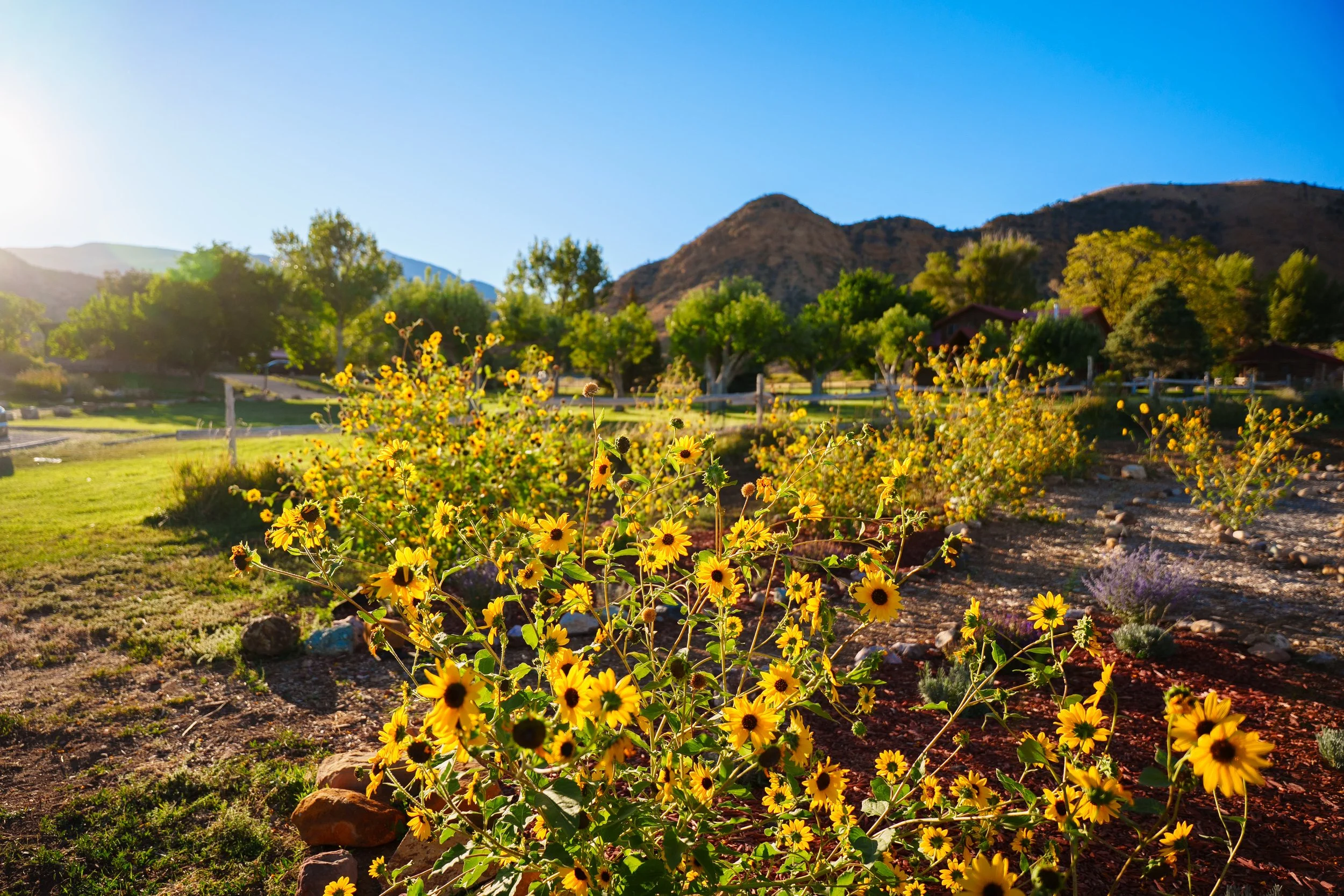 Pack Creek Ranch-38.JPG