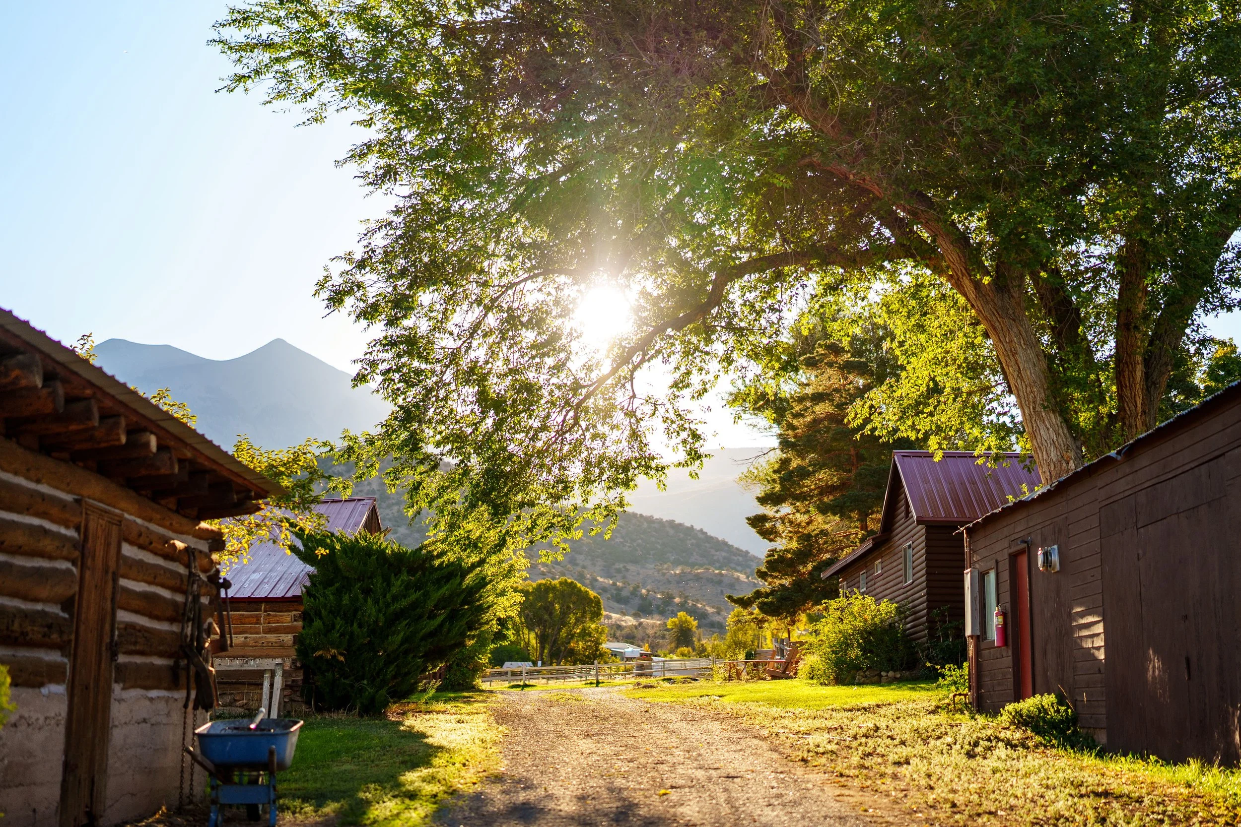 Golden pathway between red ranch buildingsl